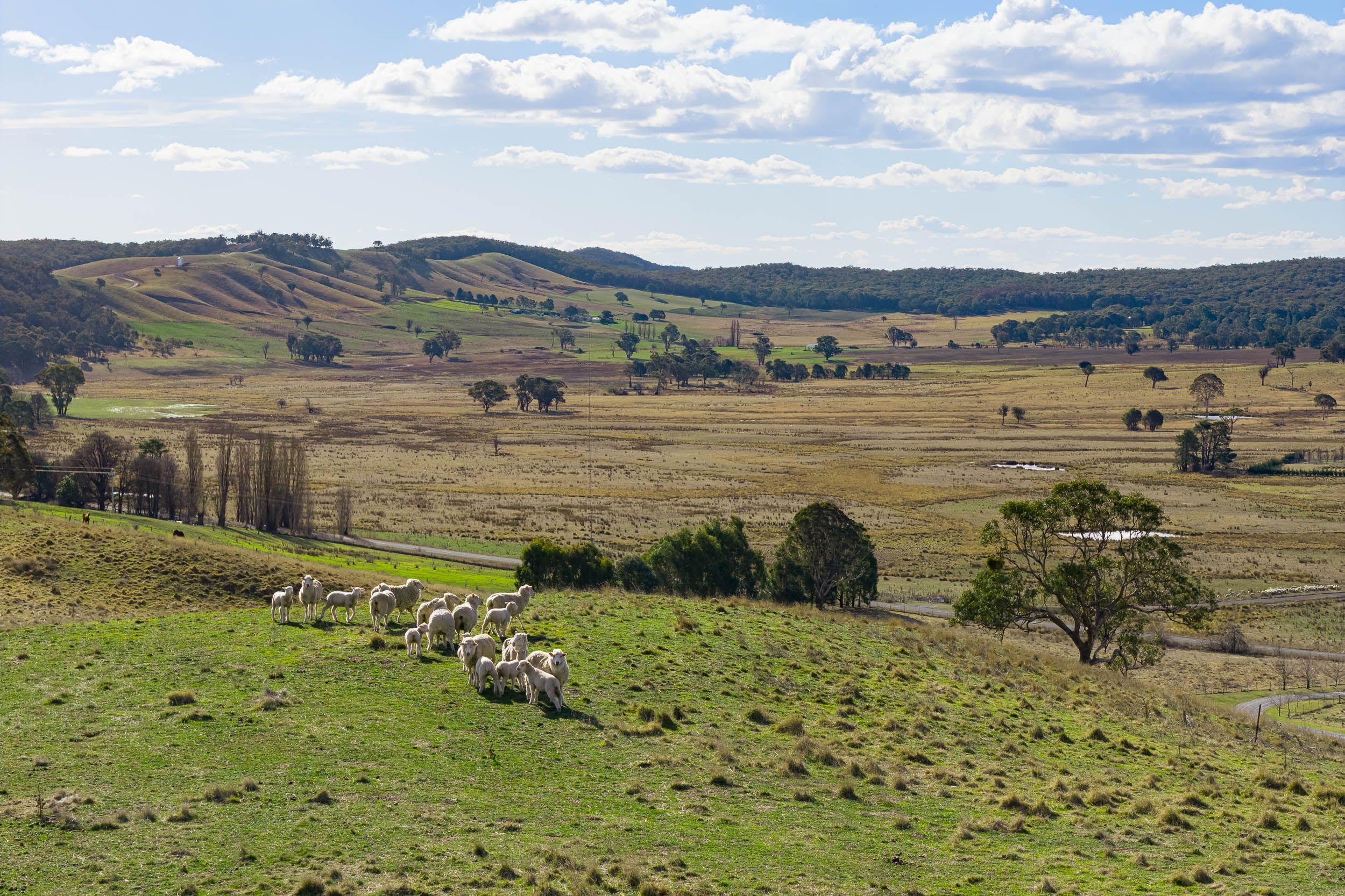 Enjoy the Quiet Life