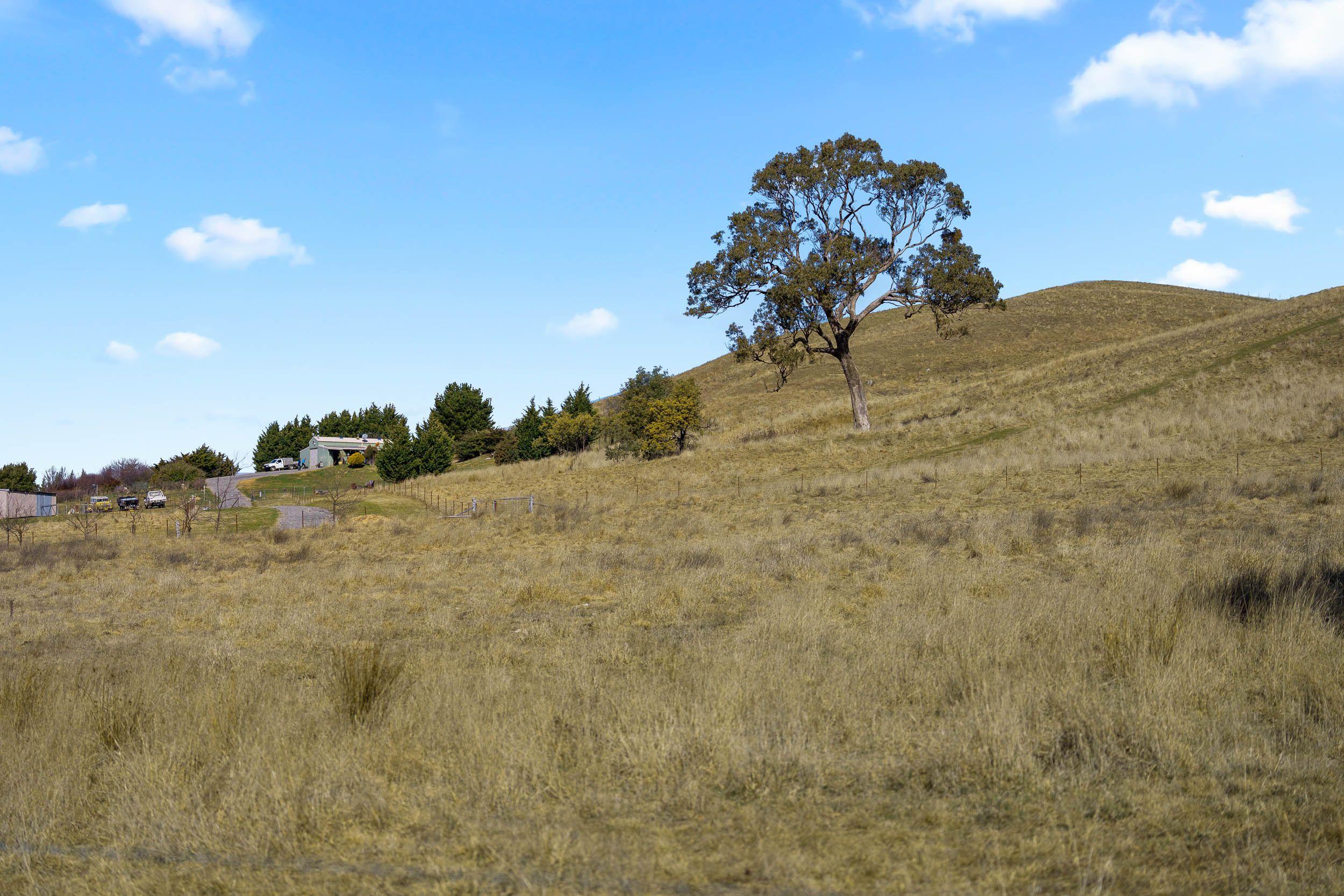 Enjoy the Quiet Life