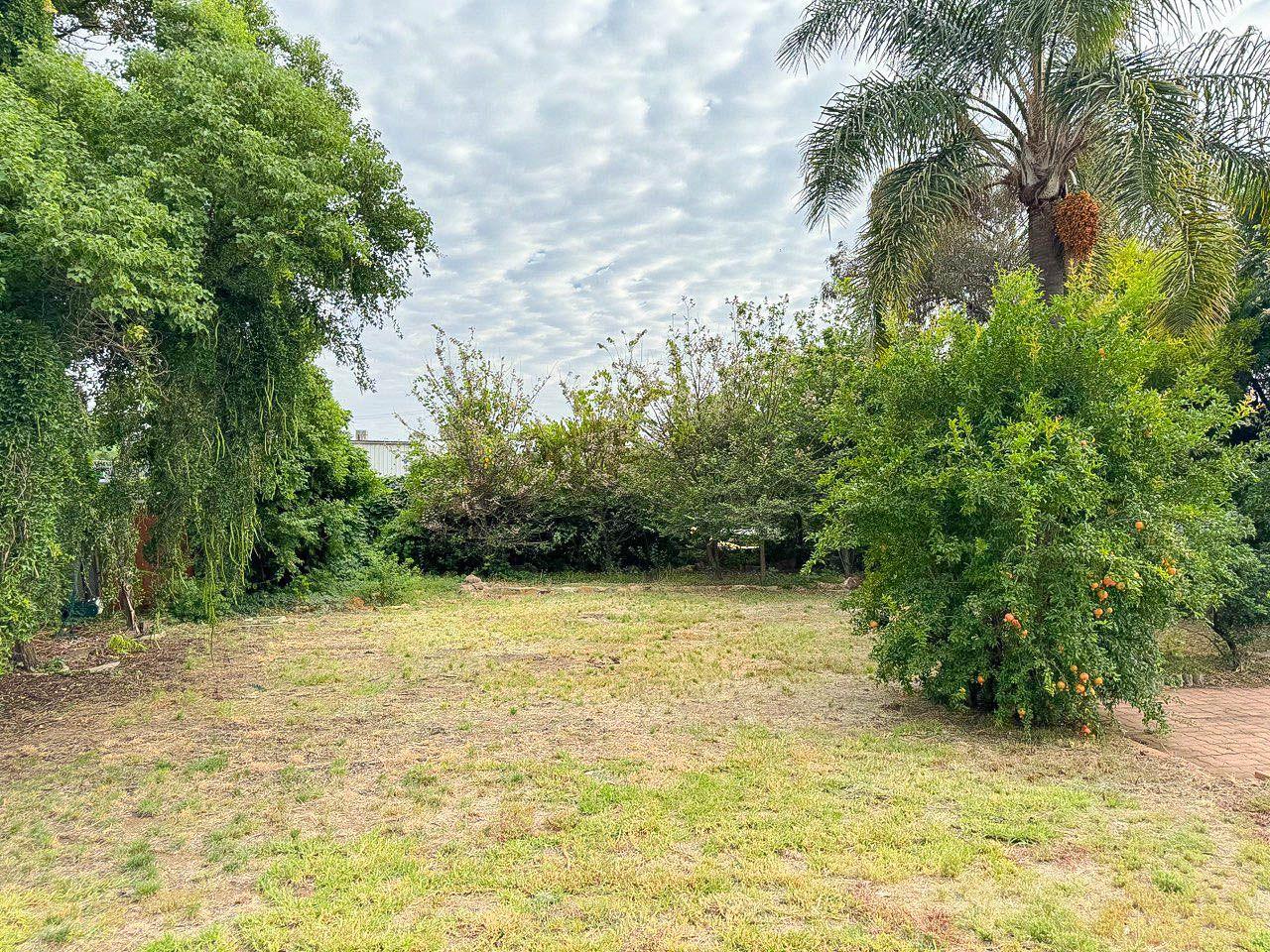 Ray White Real Estate - 02 6895 3364