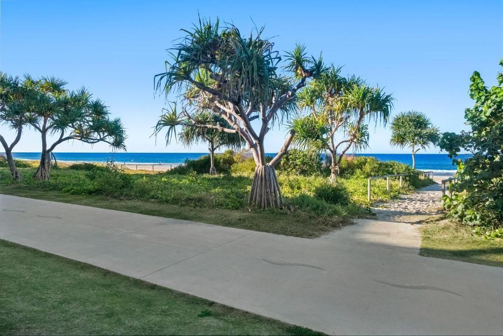 Fully Furnished Ground Floor Beachfront Apartment In Palm Beach!