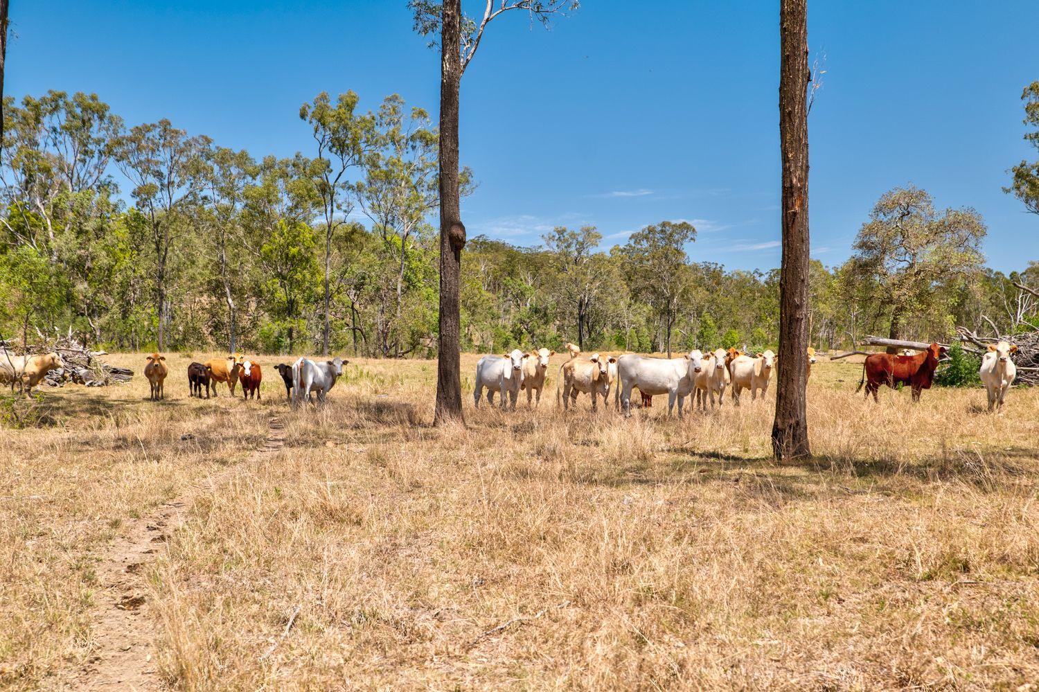 Just WOW! 250 Acres of Stunning Grazing on the Brisbane Valley Highway!!