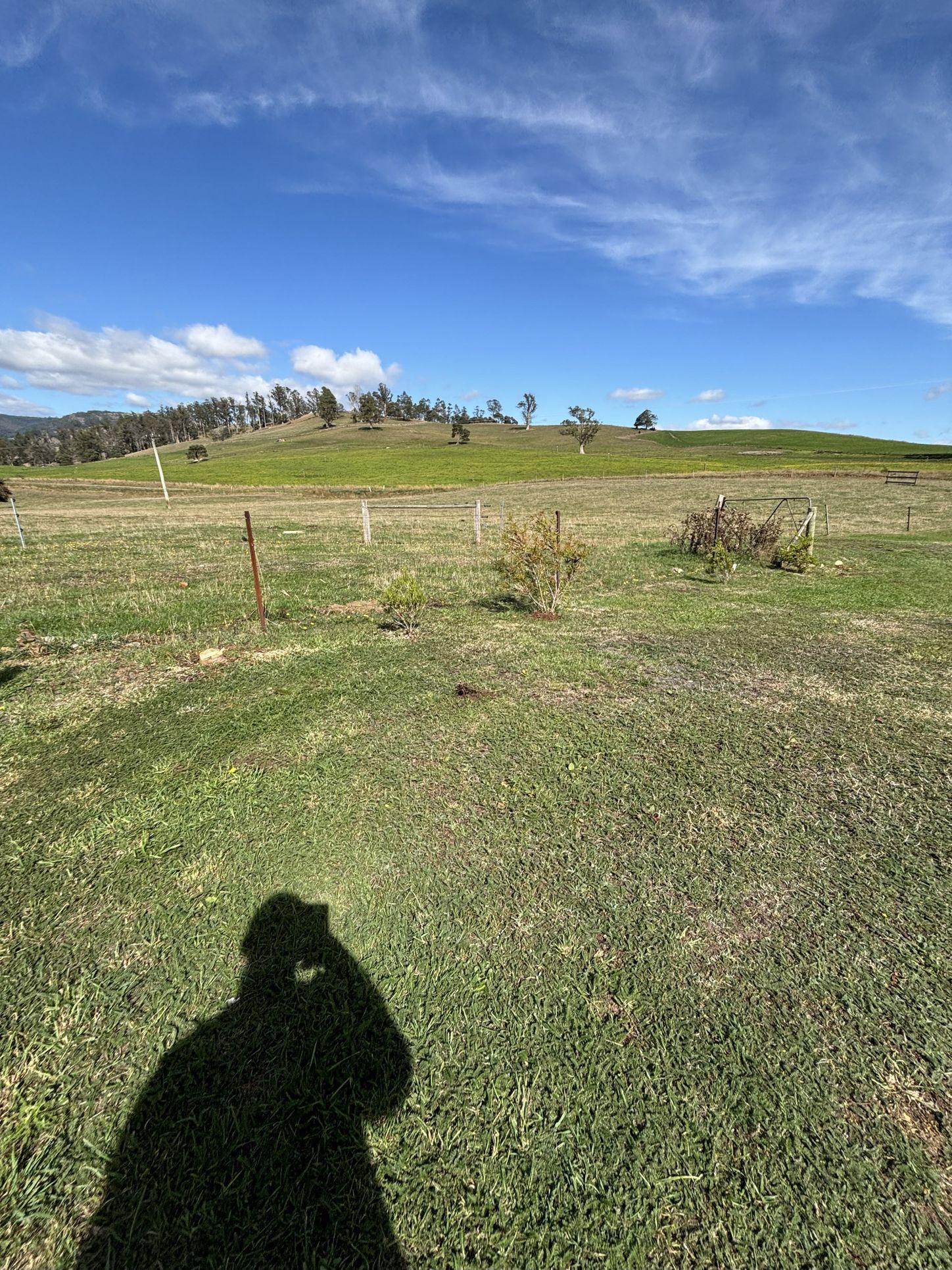 283 New River Road, RINGAROOMA, TAS 7263 - House for Rent - harcourts.net