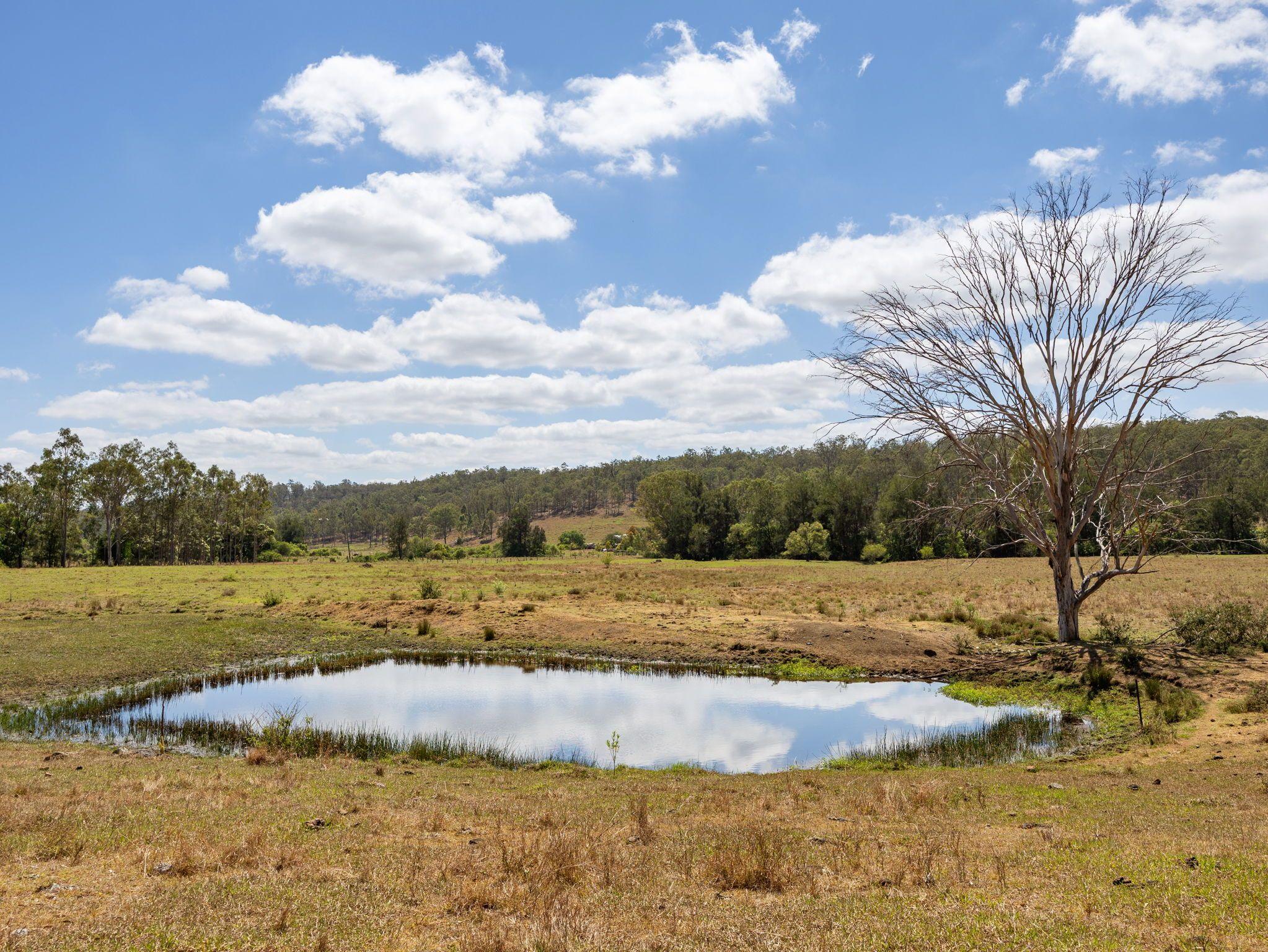 204 Acres Of Rural Bliss