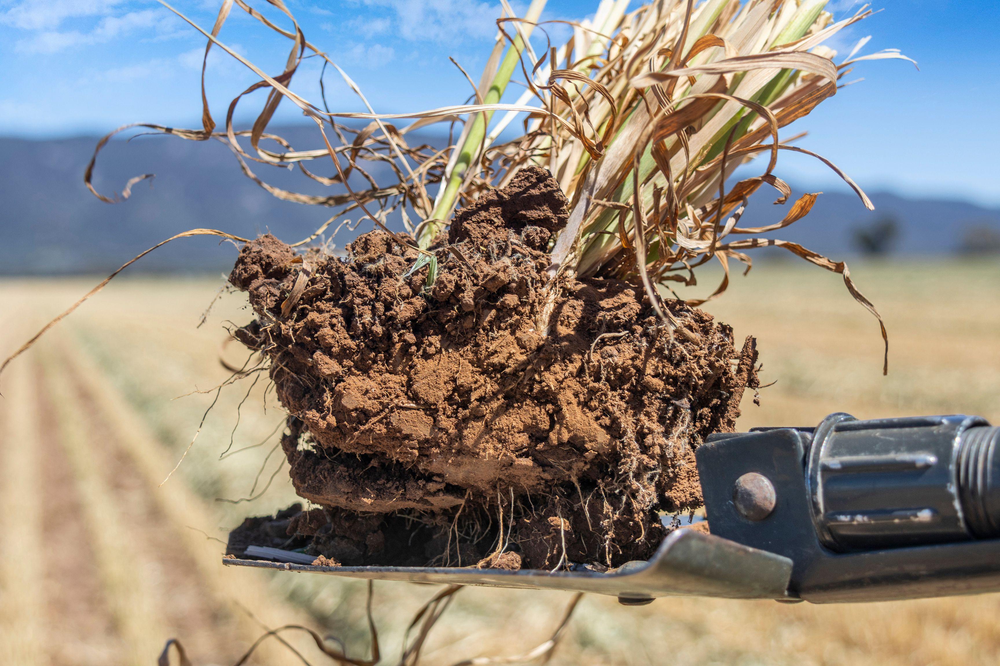 High Rainfall Cropping - Vendors Committed to Sale