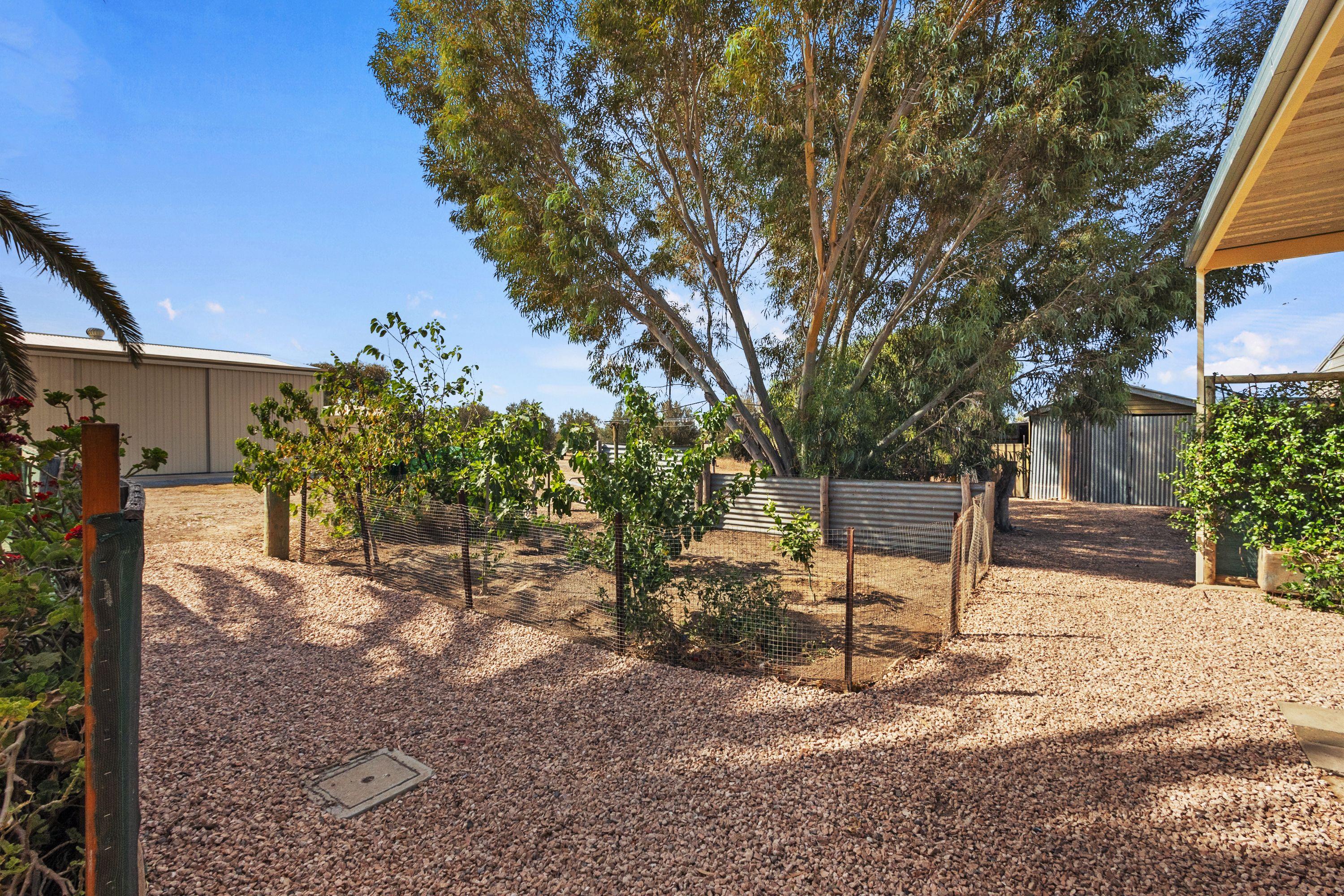 3 Bedroom Home in Wallaroo