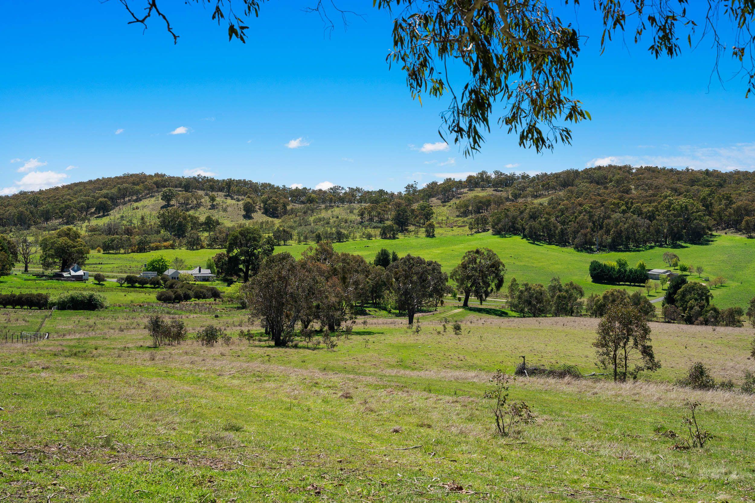 'Station Hill' - Productive and Picturesque