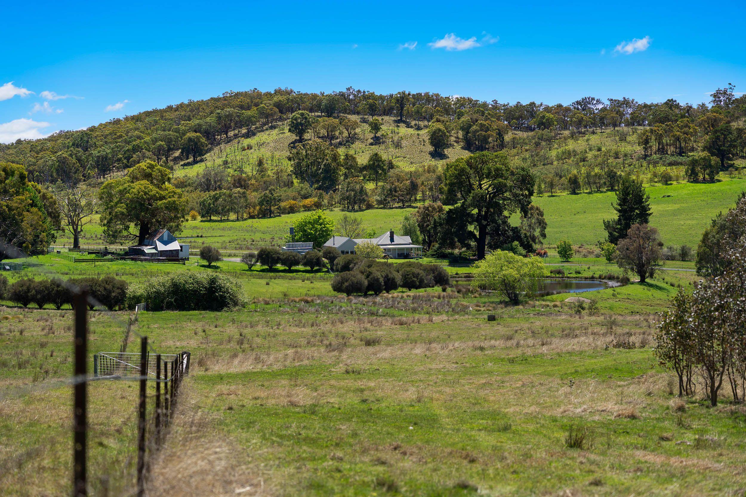 'Station Hill' - Productive and Picturesque