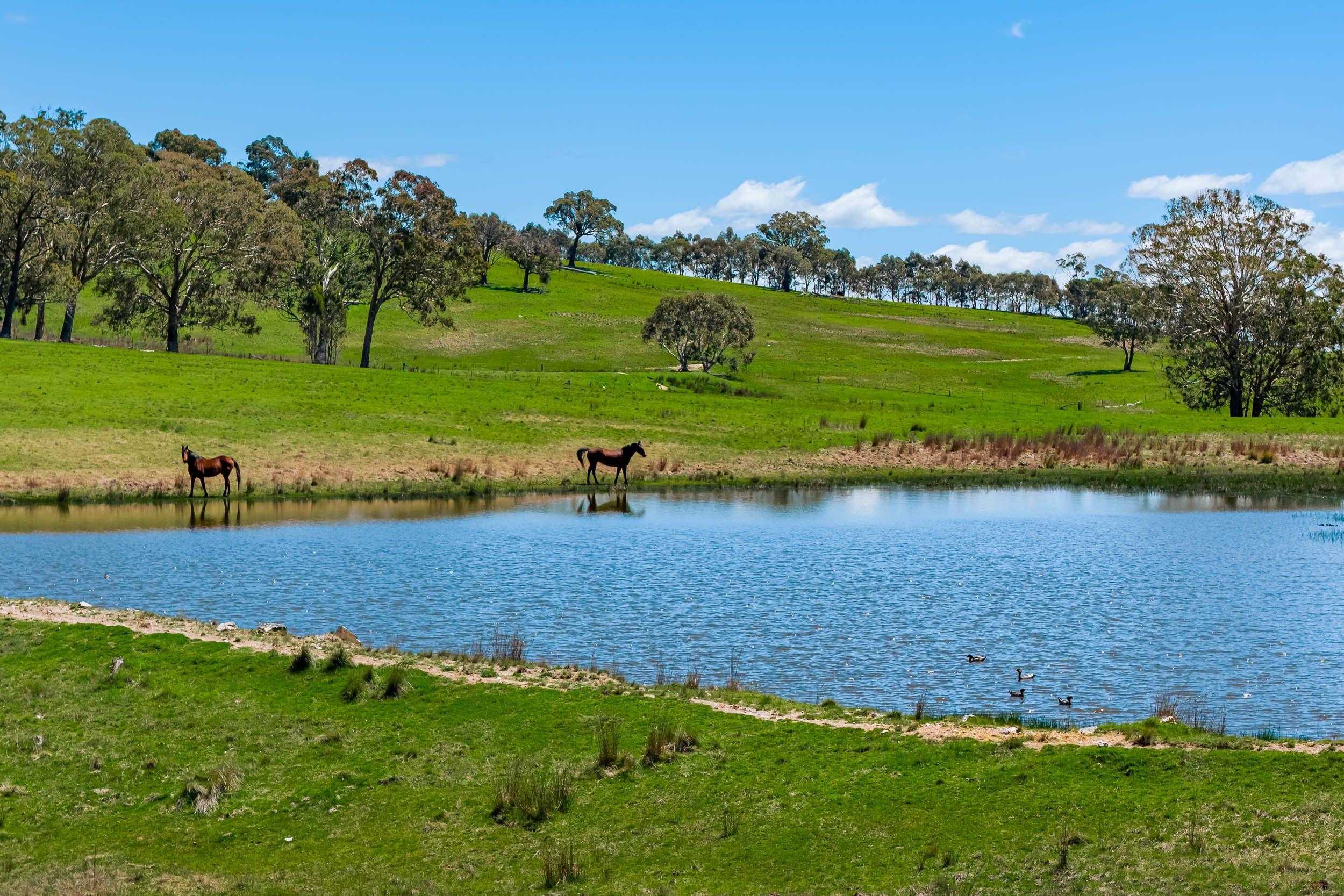 'Station Hill' - Productive and Picturesque