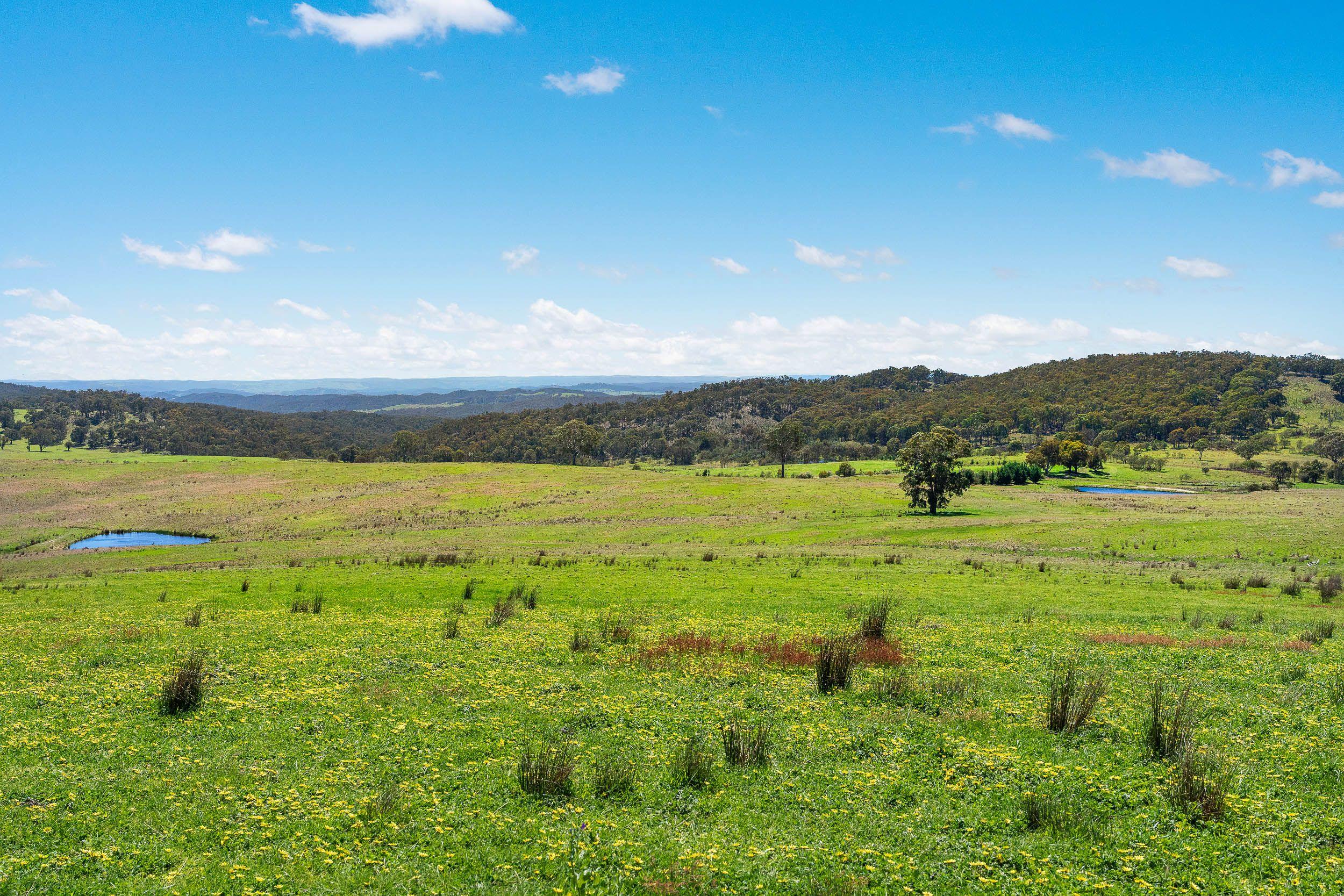 'Station Hill' - Productive and Picturesque