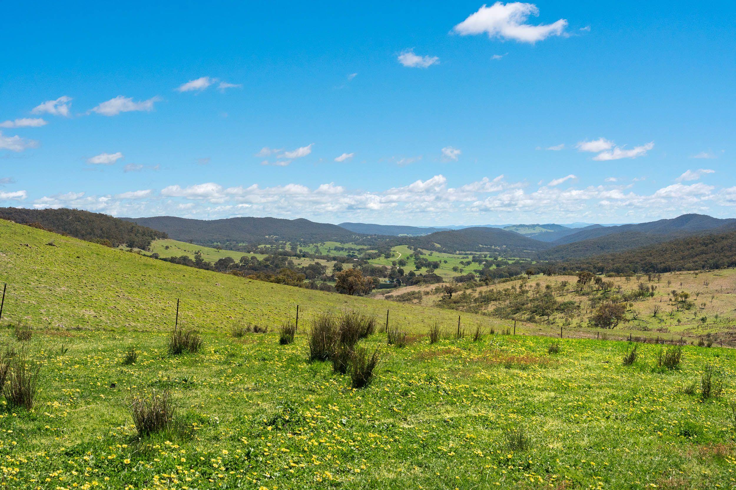 'Station Hill' - Productive and Picturesque