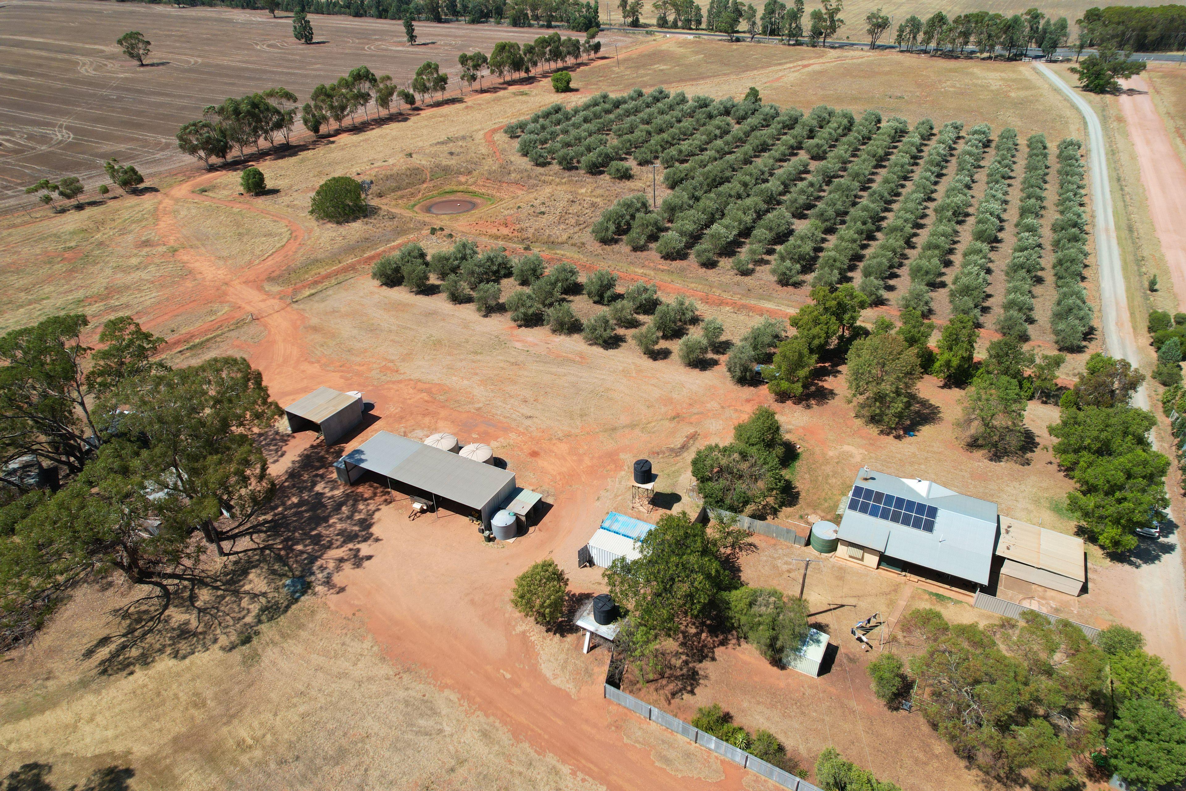 Prop-GPT: House: NSW Tullamore, NSW 2874 Country Living Meets Modern Comfort - 4-Bedroom Home on 23 Acres for Rent