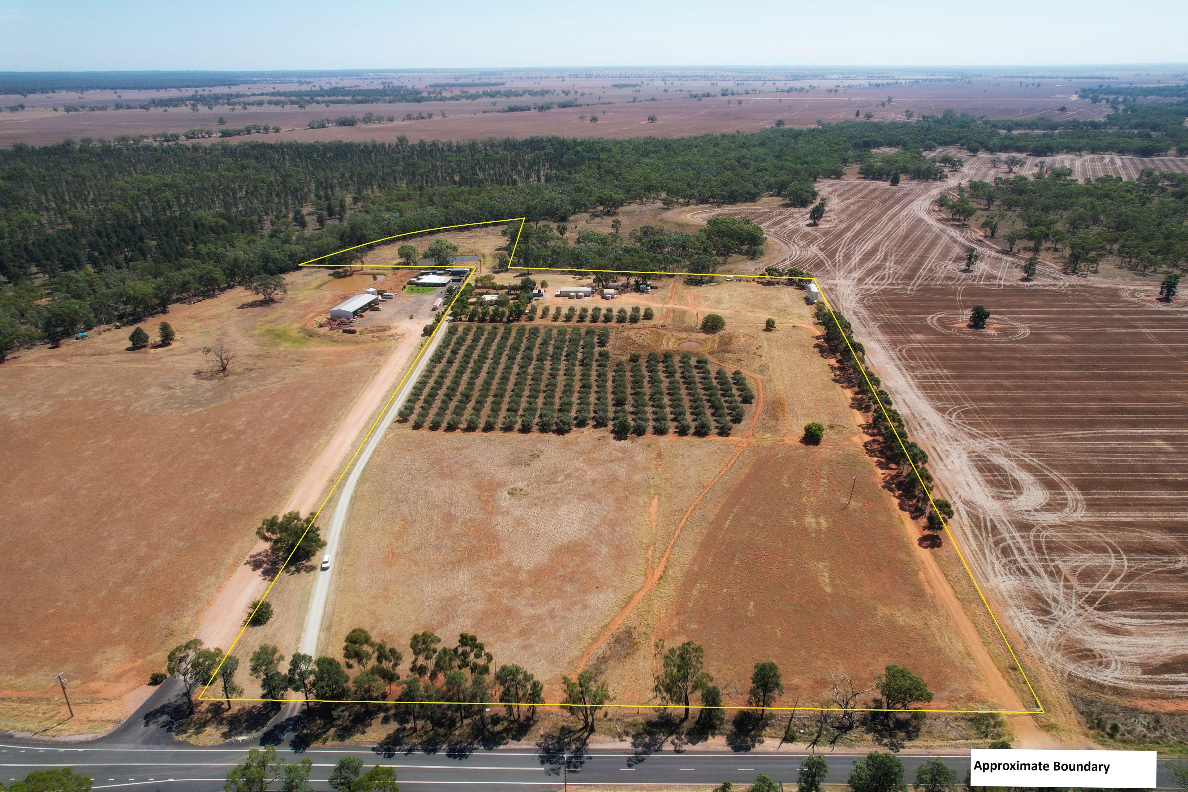 Country Living Meets Modern Comfort - 4-Bedroom Home on 23 Acres for Rent