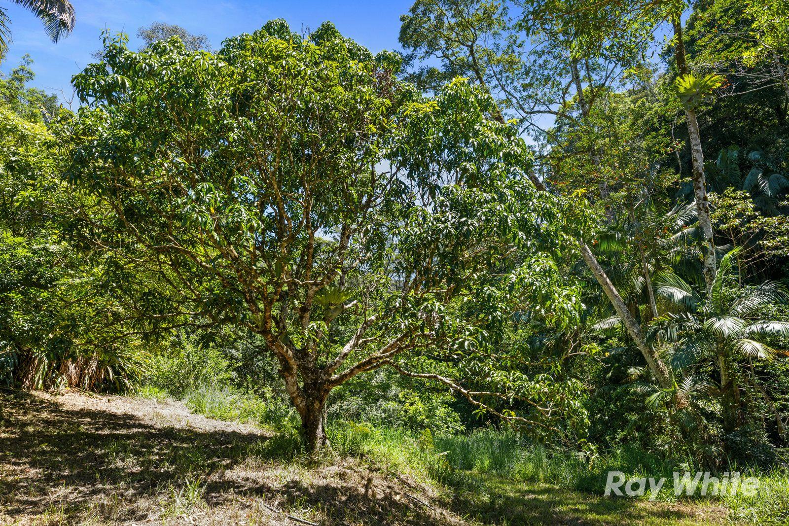 PRIVATE RAINFOREST SANCTUARY - 32.15 HA of PURE SECLUSION in UPPER CRYSTAL CREEK