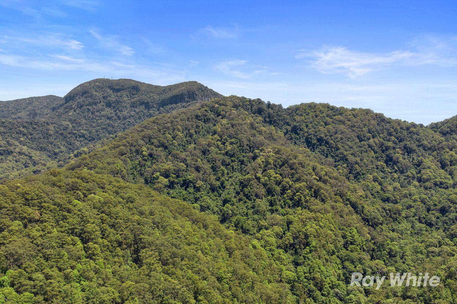 PRIVATE RAINFOREST SANCTUARY - 32.15 HA of PURE SECLUSION in UPPER CRYSTAL CREEK