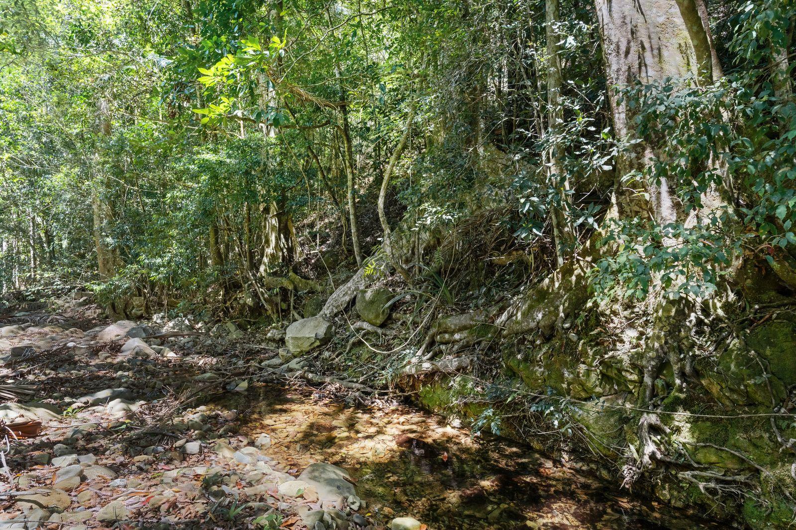 PRIVATE RAINFOREST SANCTUARY - 32.15 HA of PURE SECLUSION in UPPER CRYSTAL CREEK