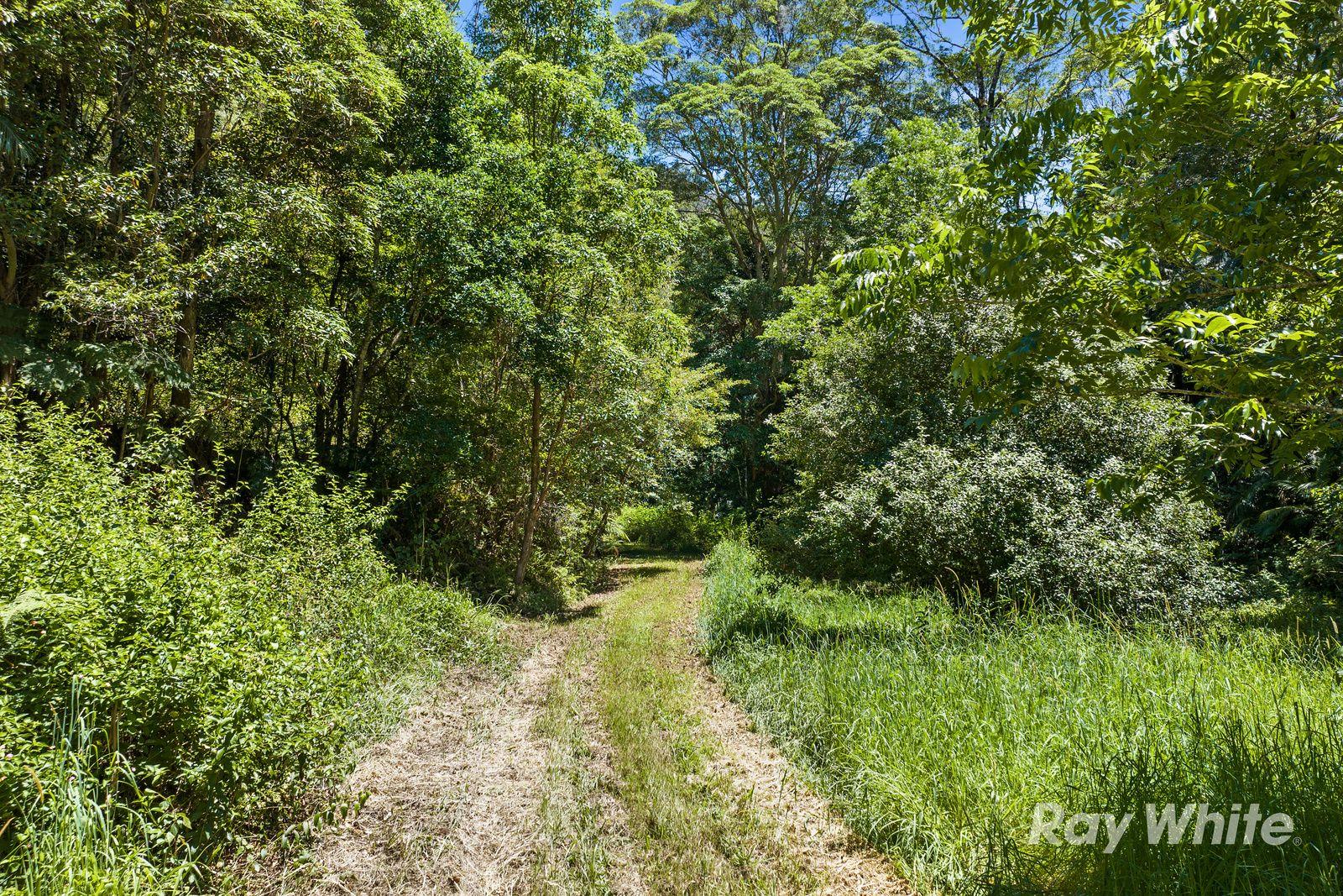 PRIVATE RAINFOREST SANCTUARY - 32.15 HA of PURE SECLUSION in UPPER CRYSTAL CREEK