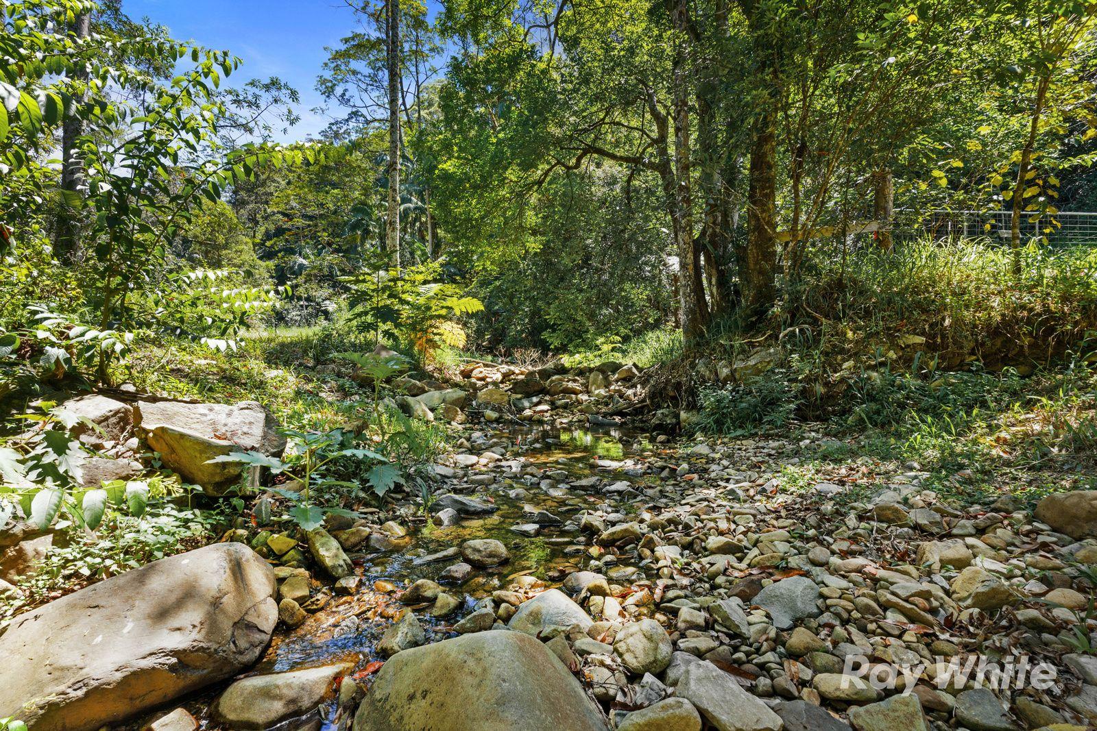 PRIVATE RAINFOREST SANCTUARY - 32.15 HA of PURE SECLUSION in UPPER CRYSTAL CREEK