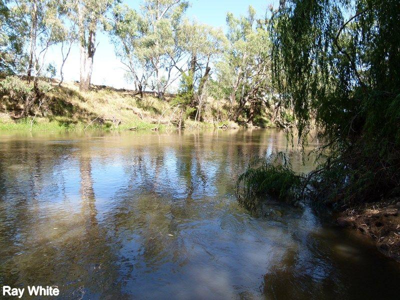 Ray White Forbes - 68511411