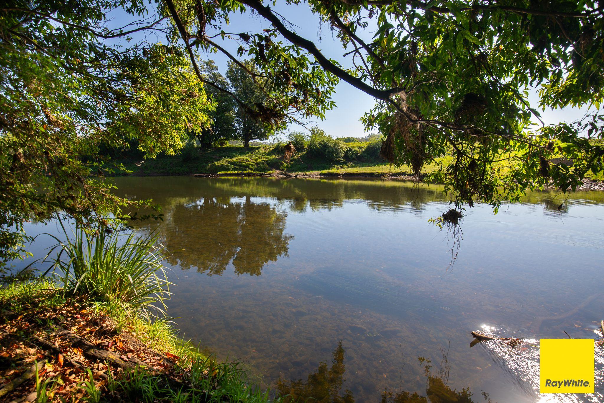 Plant your roots at 'Greenhills'