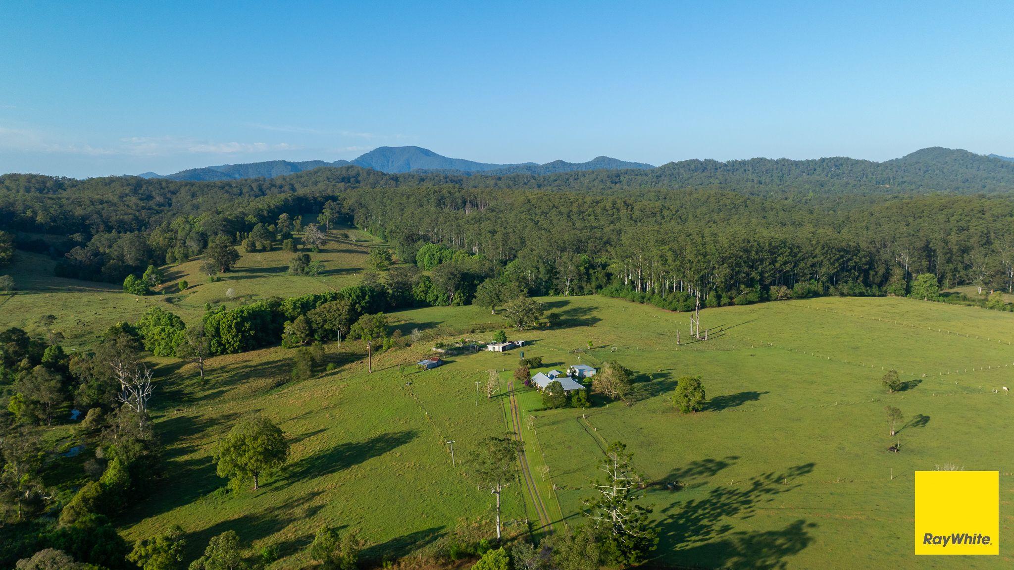 Plant your roots at 'Greenhills'