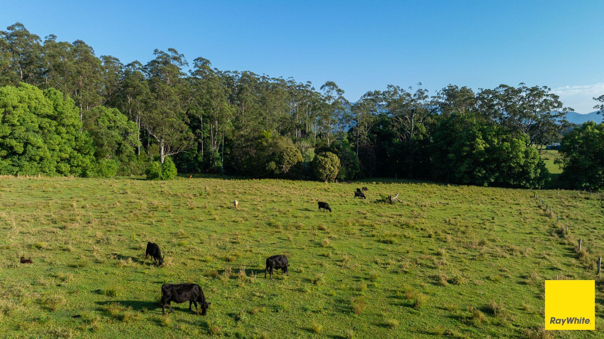 Plant your roots at 'Greenhills'