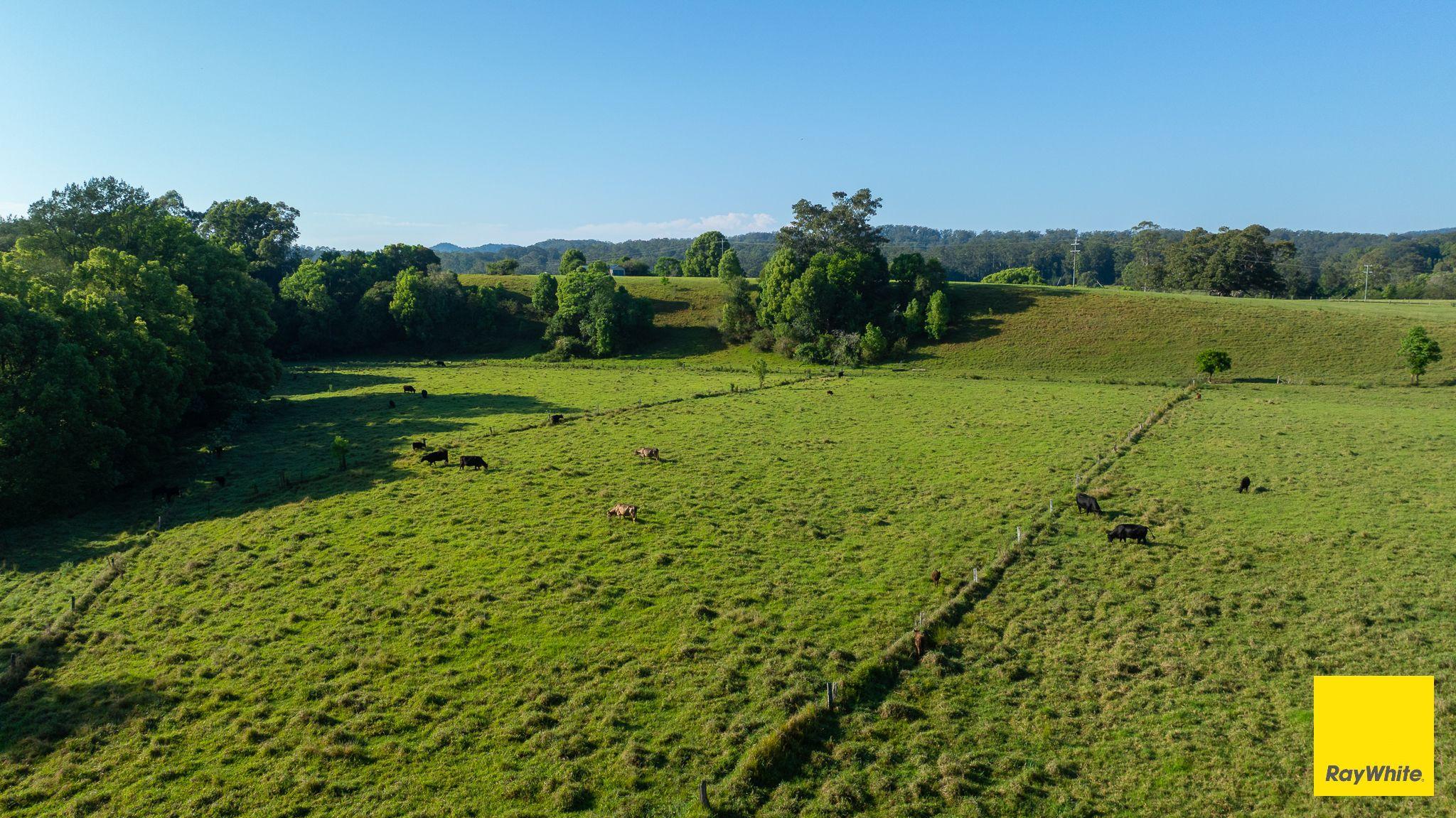 Plant your roots at 'Greenhills'