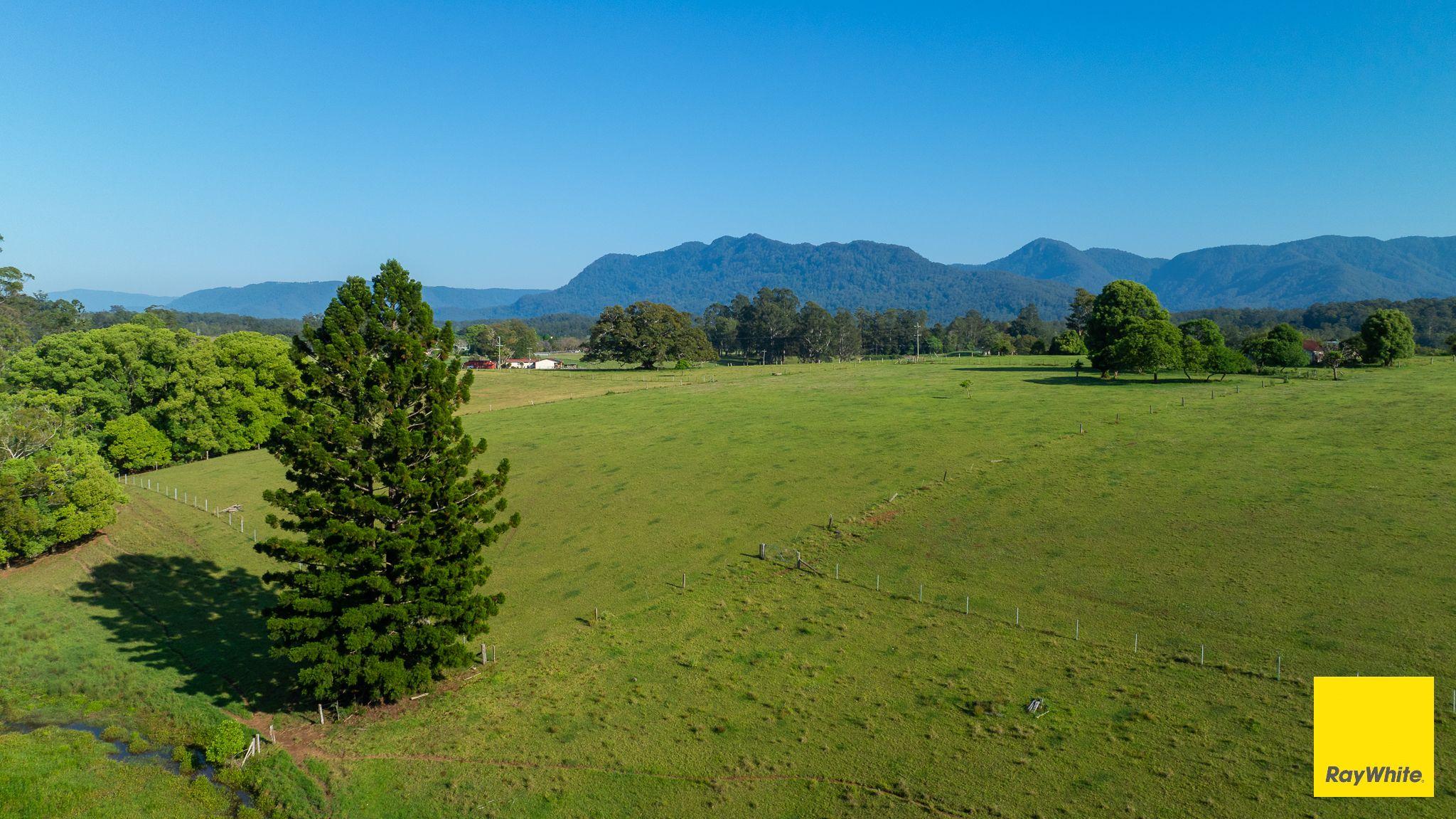 Plant your roots at 'Greenhills'