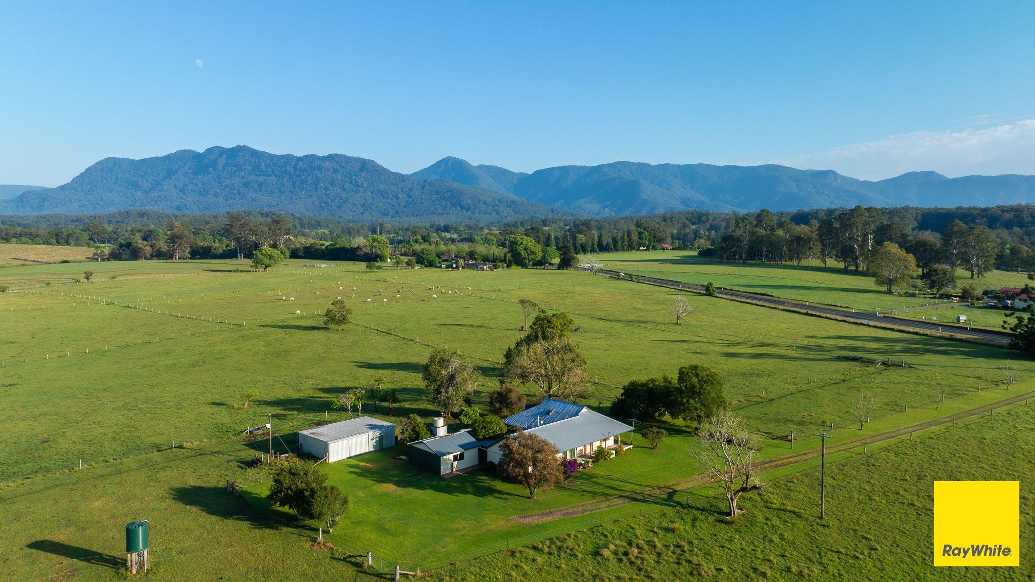 Plant your roots at 'Greenhills'