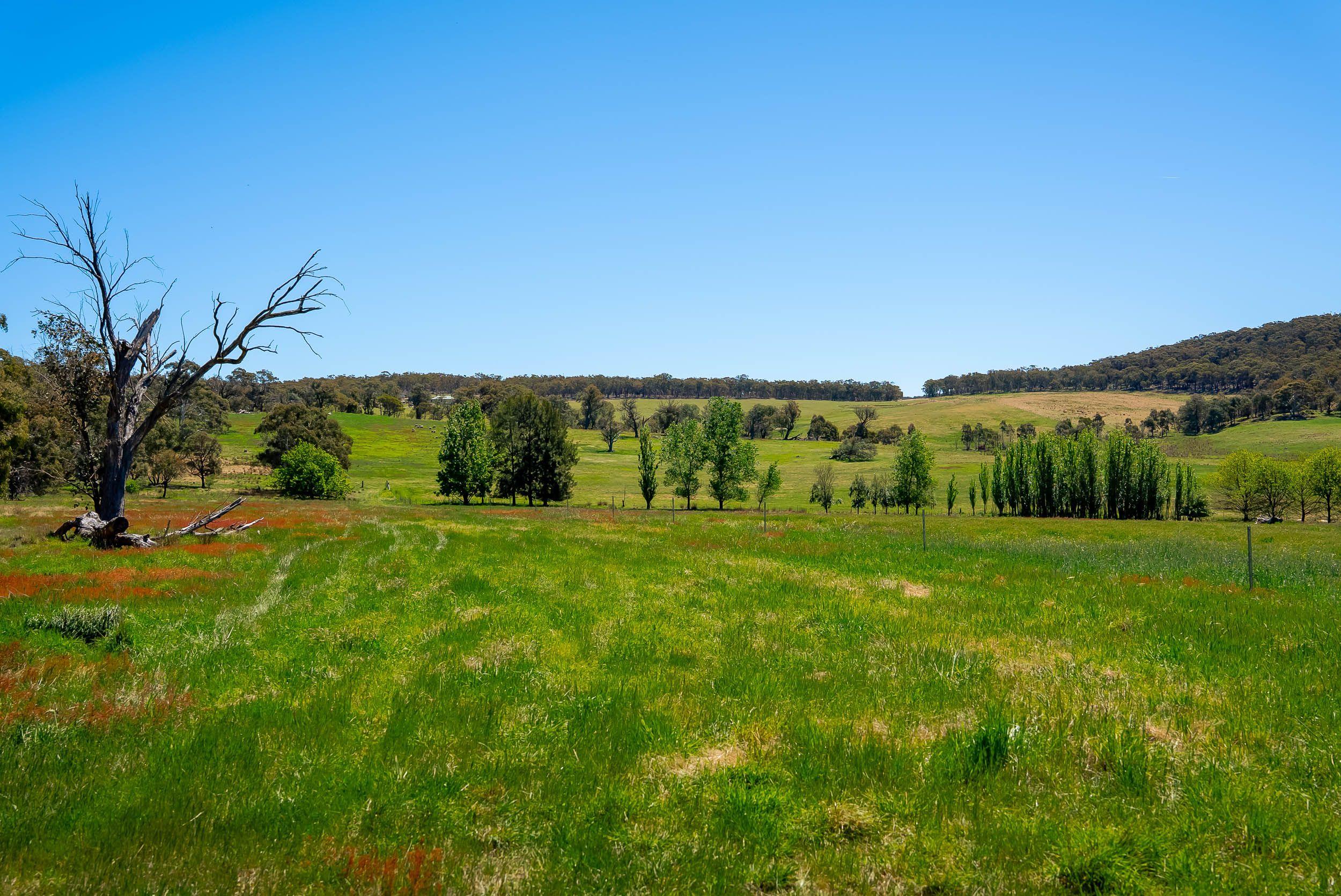 Pristine Farm Land So Close to Town