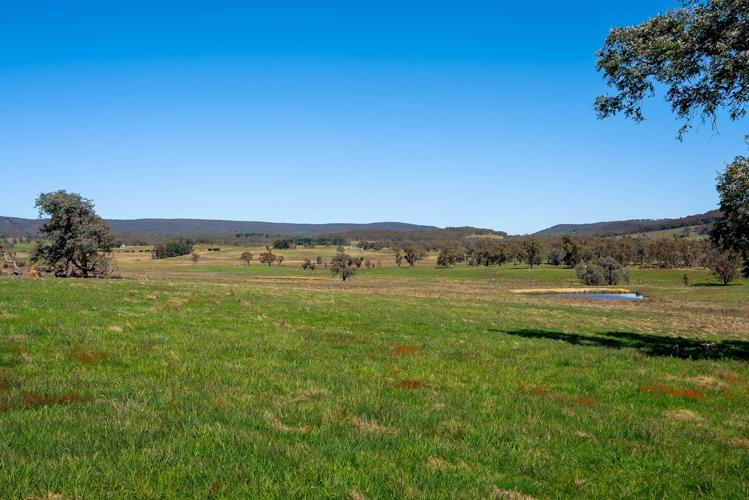 Pristine Farm Land So Close to Town