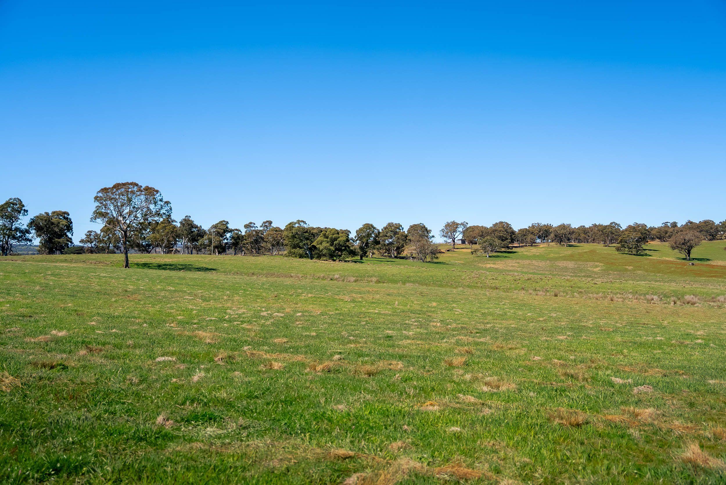 Pristine Farm Land So Close to Town