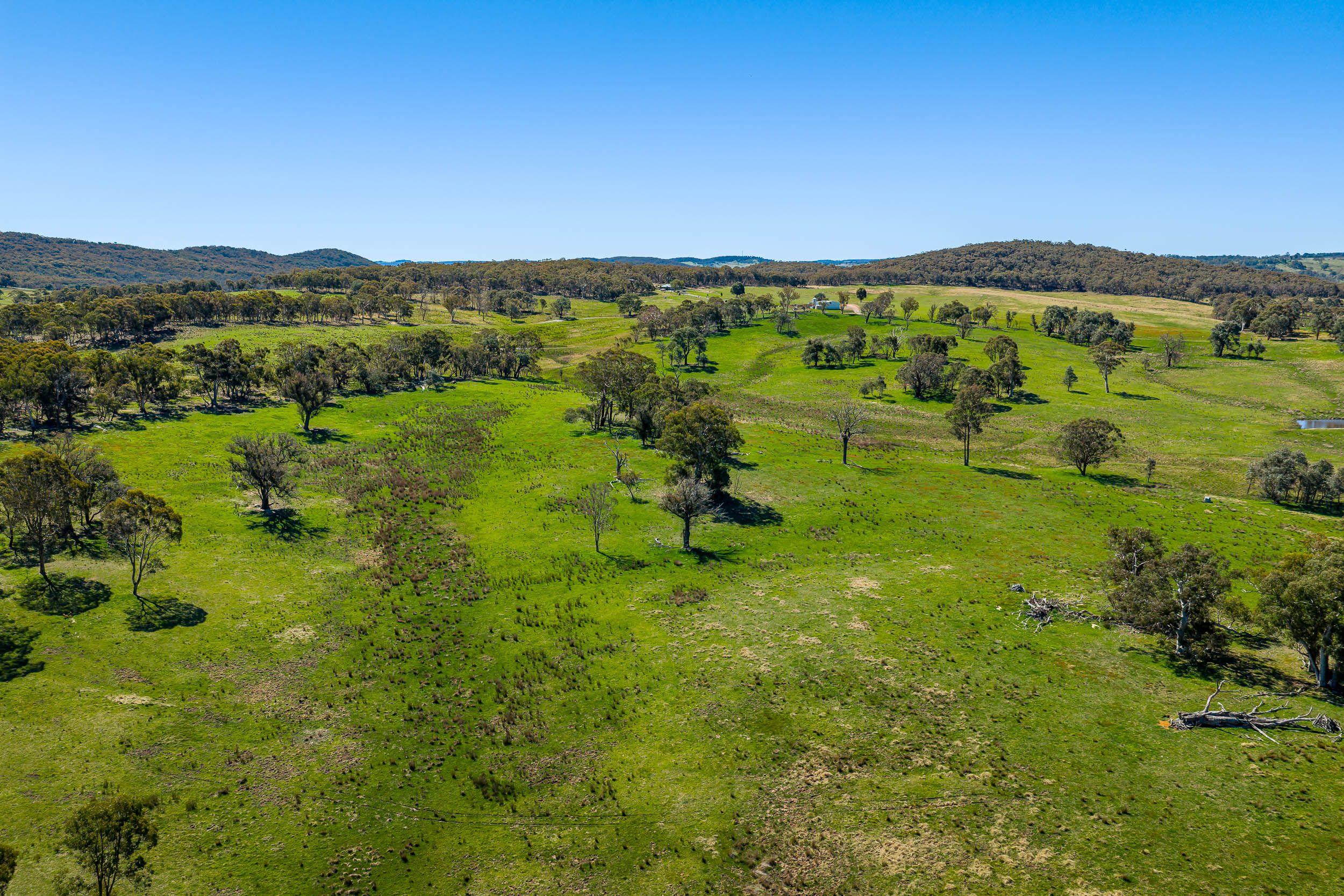 Pristine Farm Land So Close to Town