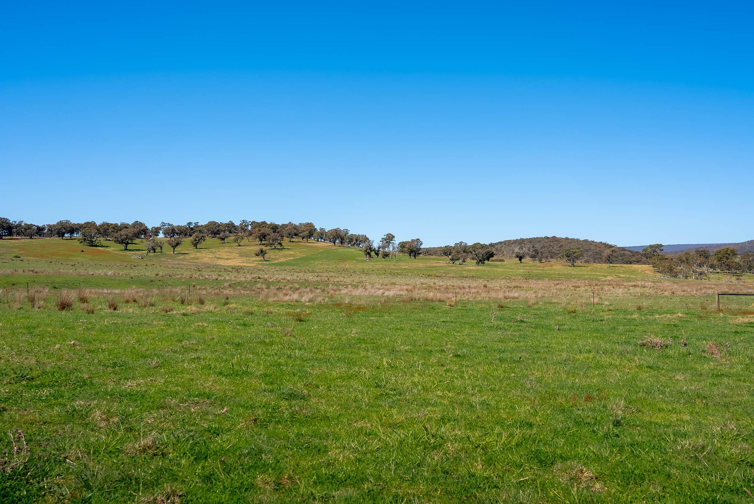 Pristine Farm Land So Close to Town
