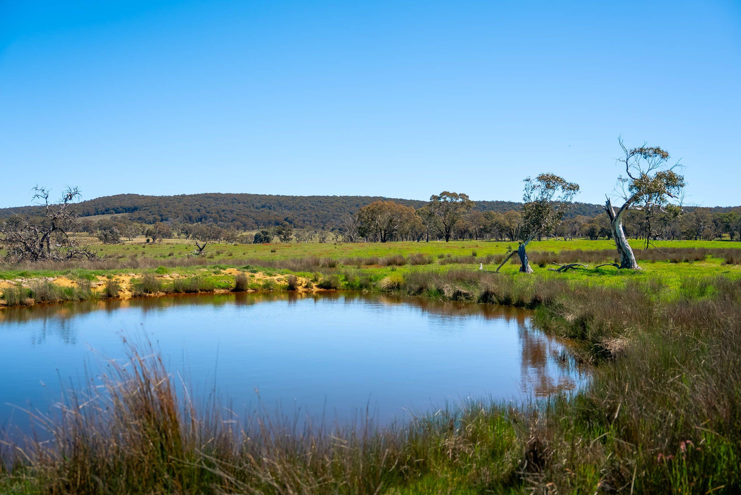 Pristine Farm Land So Close to Town