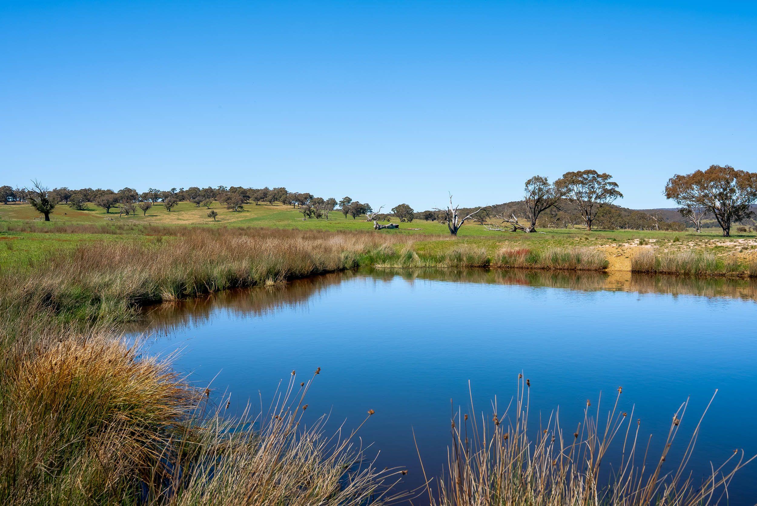 Pristine Farm Land So Close to Town