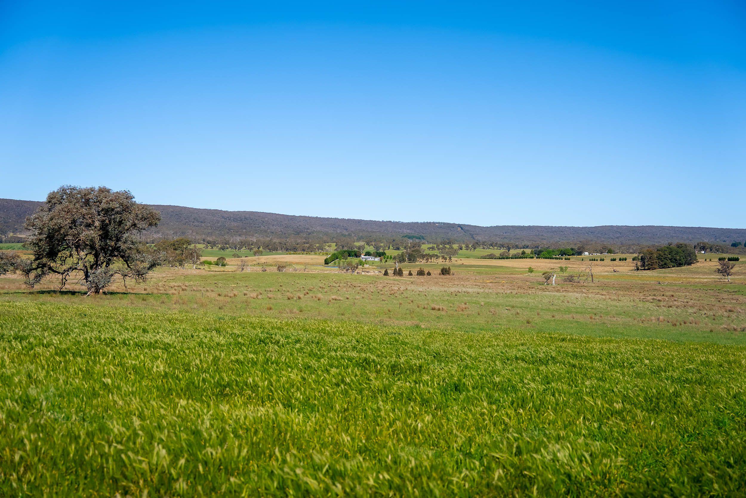Pristine Farm Land So Close to Town