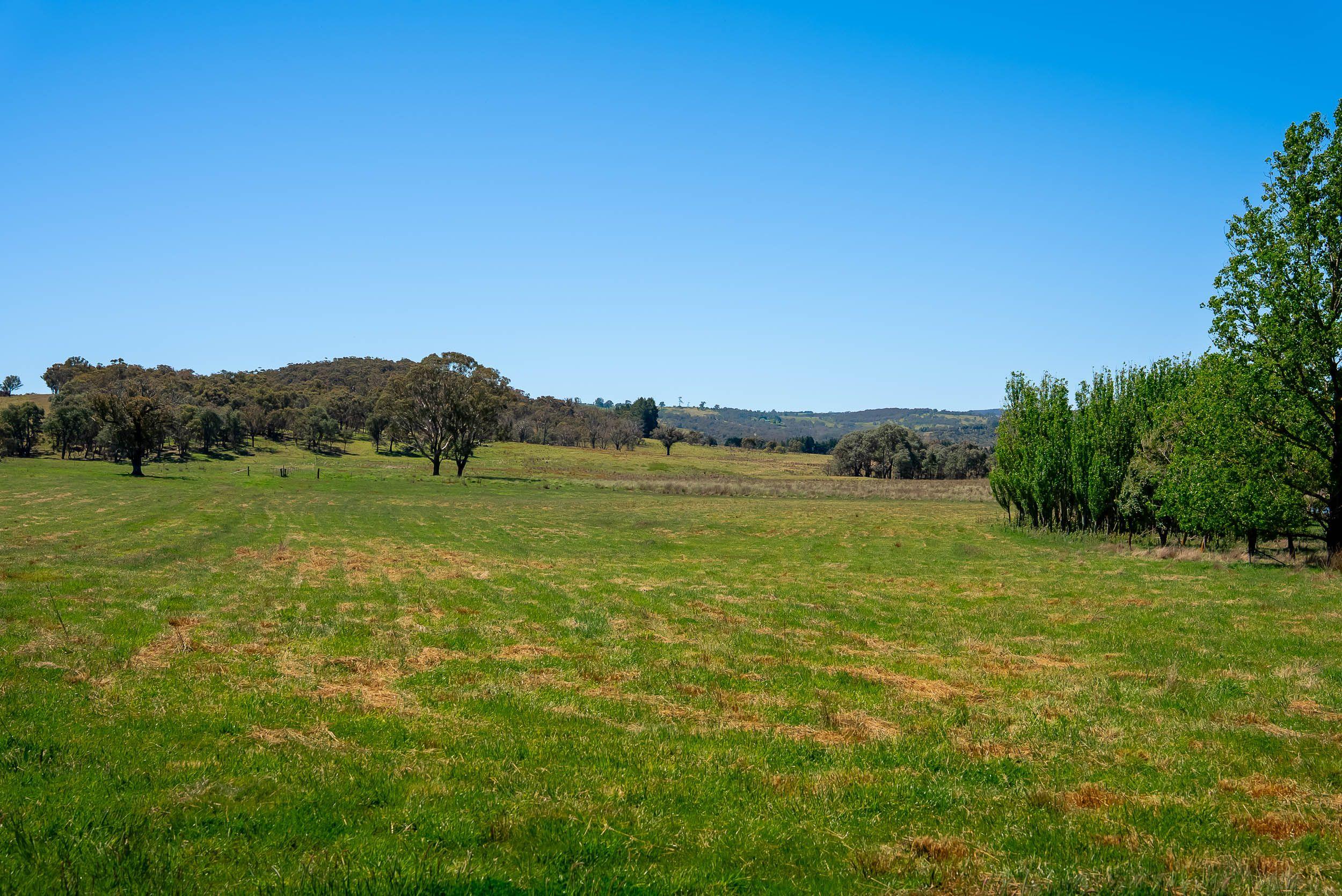 Pristine Farm Land So Close to Town