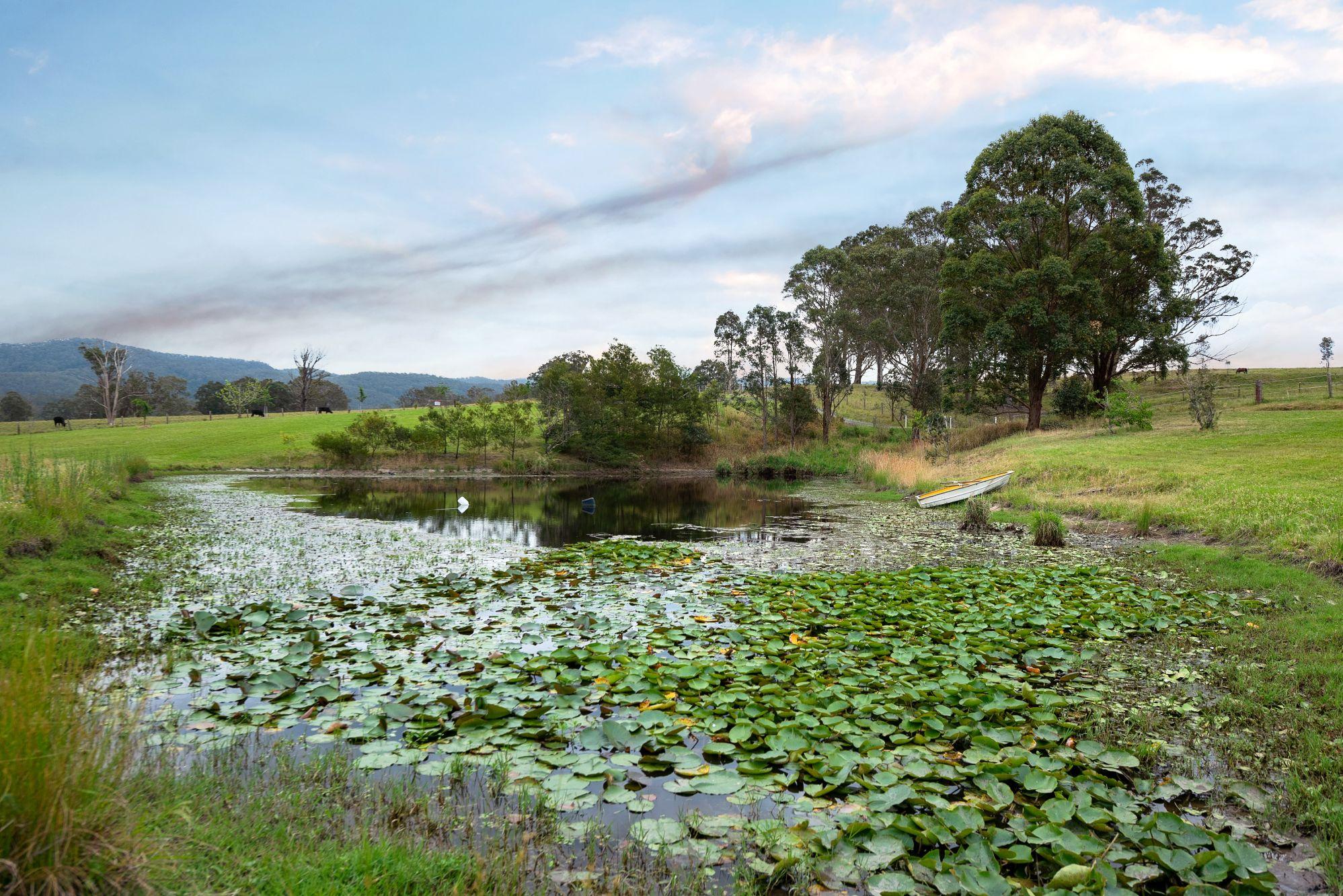 'Glengourdie' Two Homes, Yoga Dome & Guest Facilities on 5.2ha - Lifestyle, Income & Space to Breathe