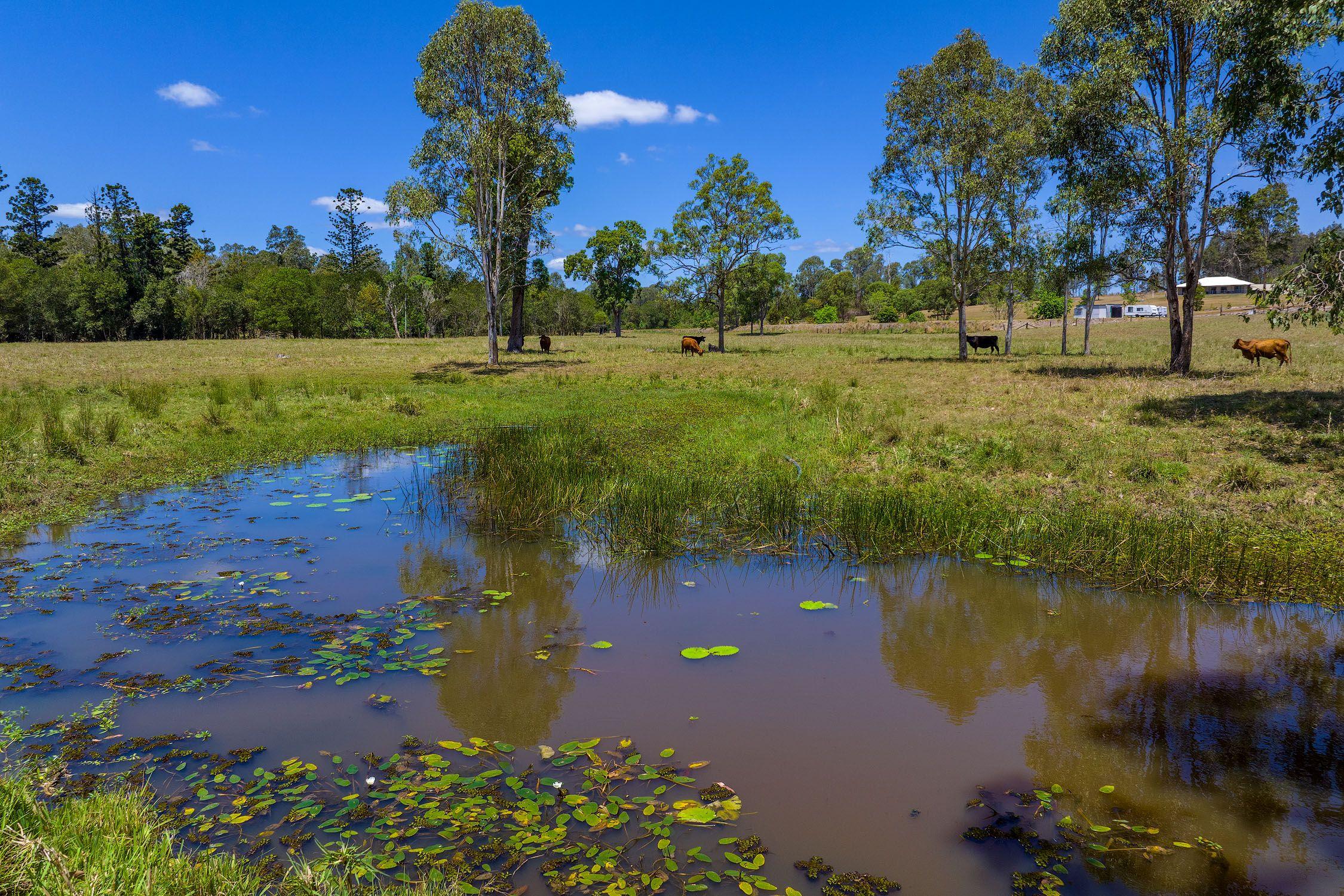 Your Private 40-Acre Paradise - Just 12 Minutes from Gympie