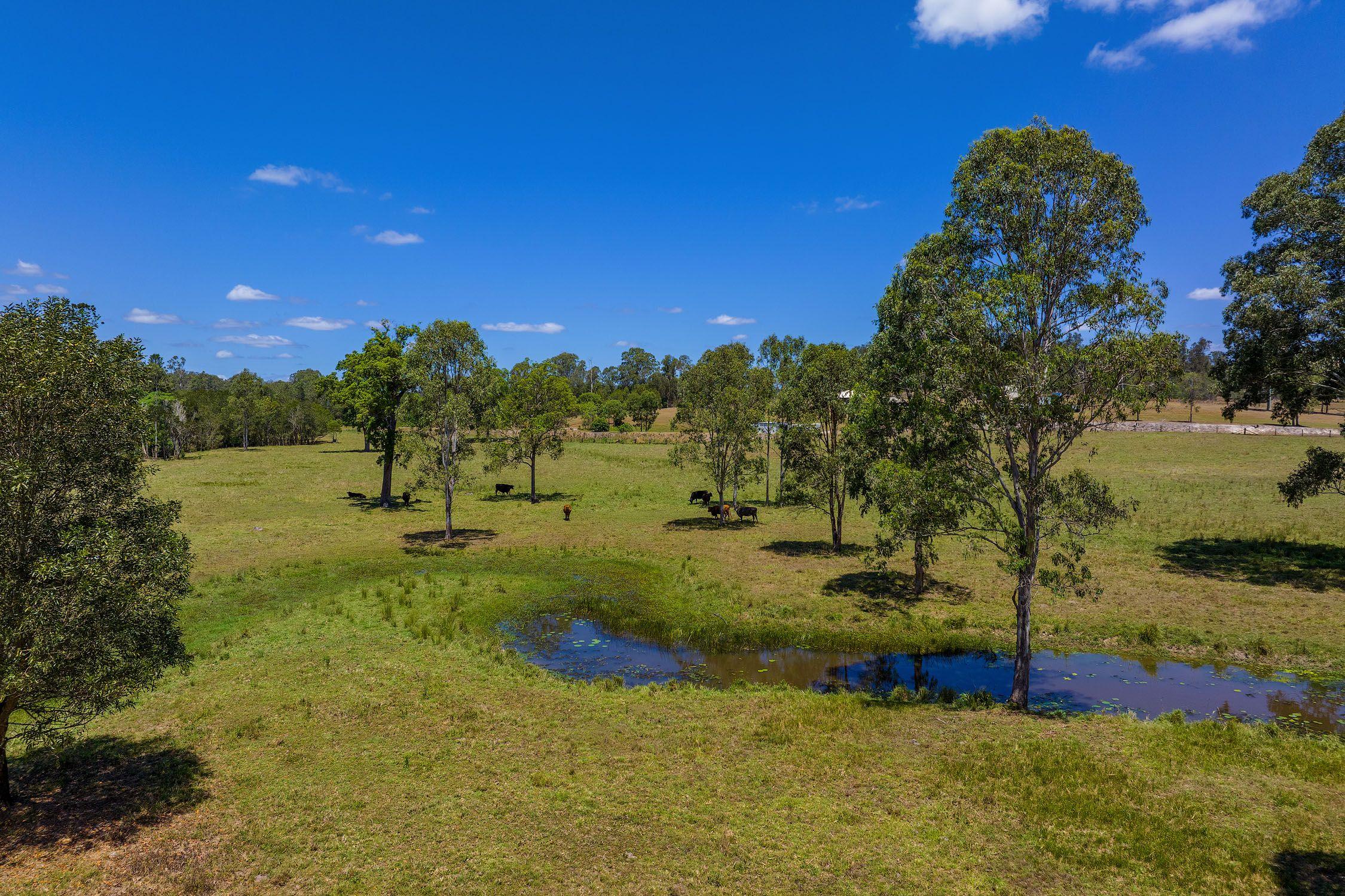 Your Private 40-Acre Paradise - Just 12 Minutes from Gympie
