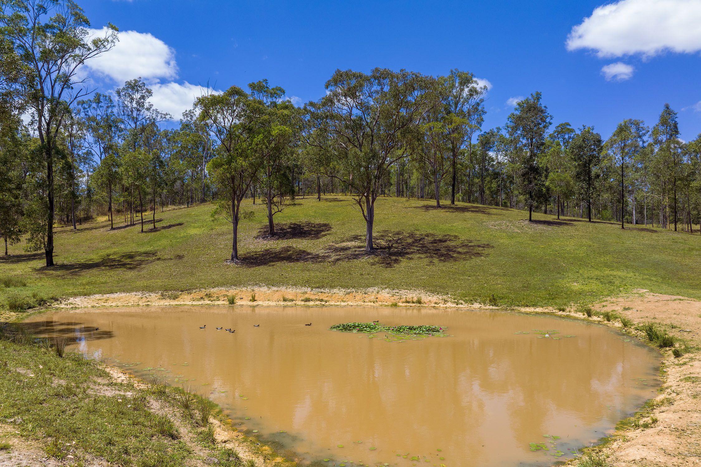 Your Private 40-Acre Paradise - Just 12 Minutes from Gympie