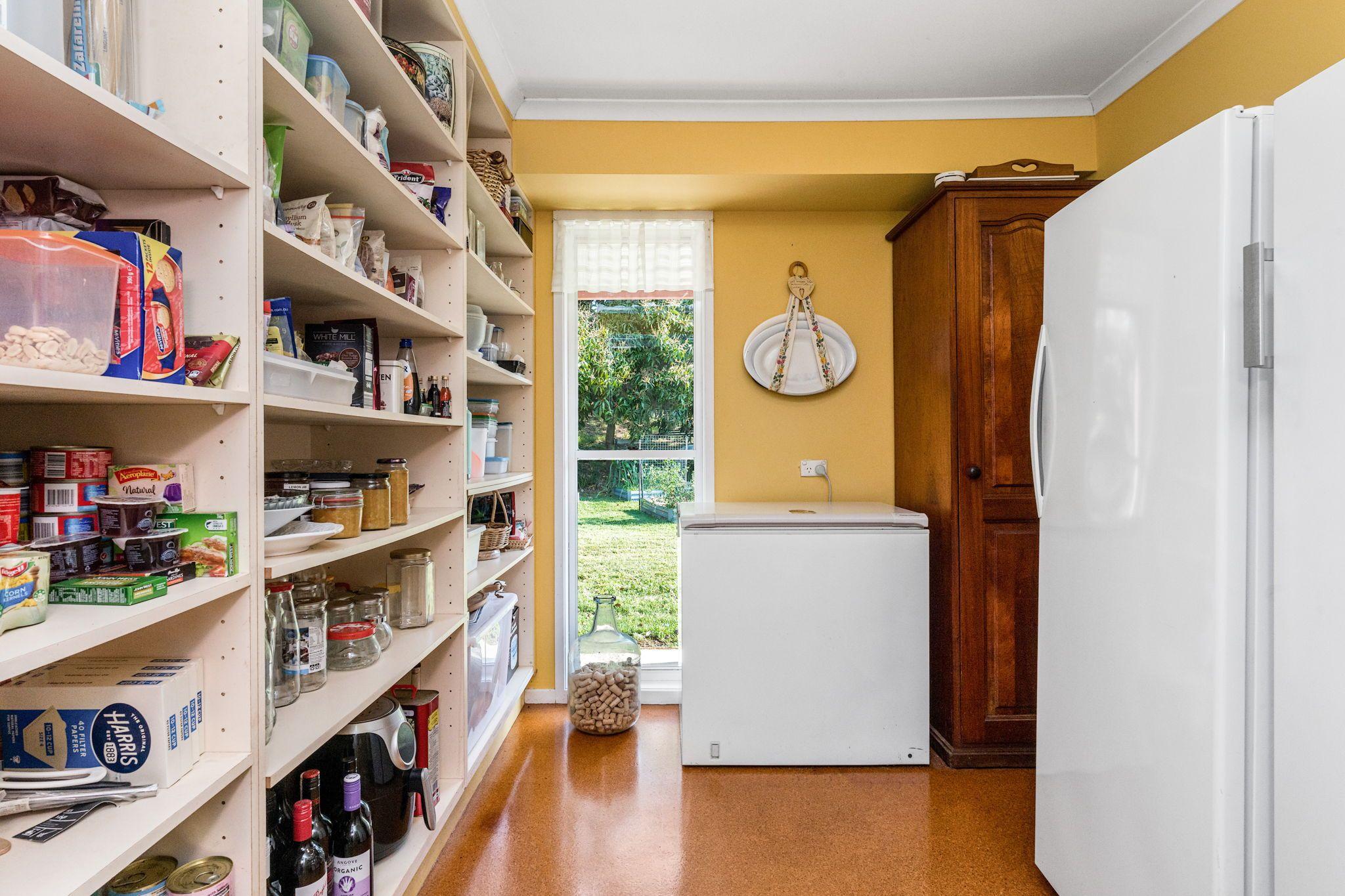 Scenic Grandeur Meets Ideal Stud Farm