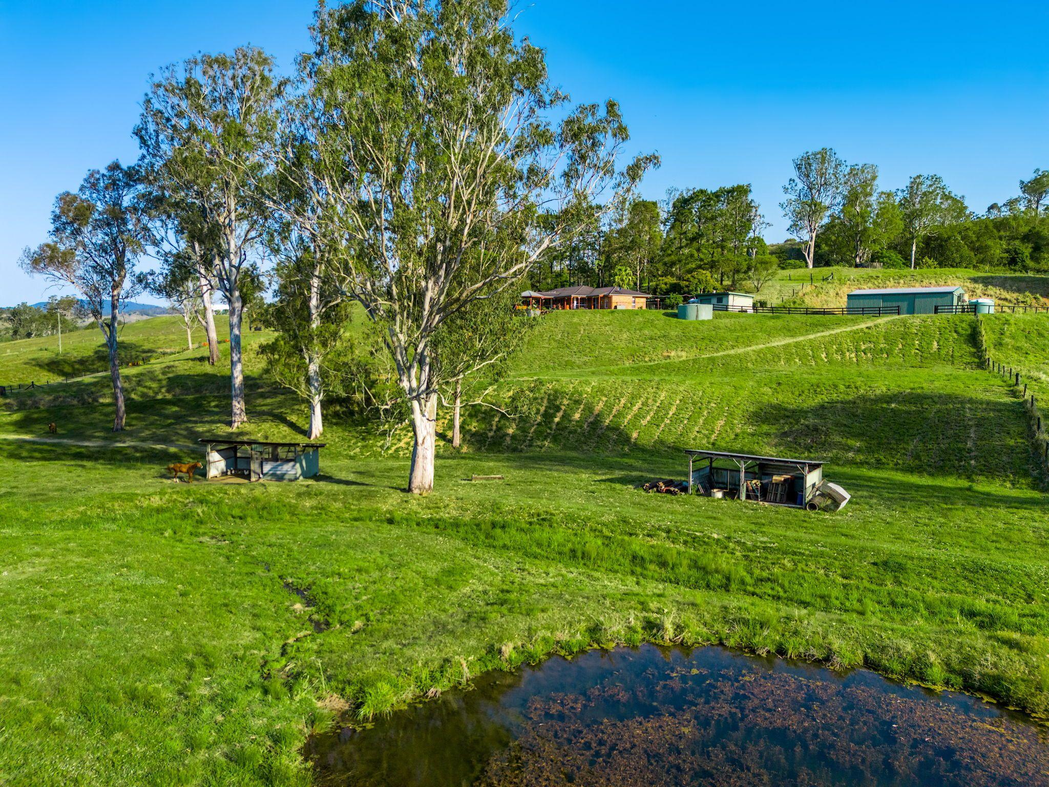 Scenic Grandeur Meets Ideal Stud Farm