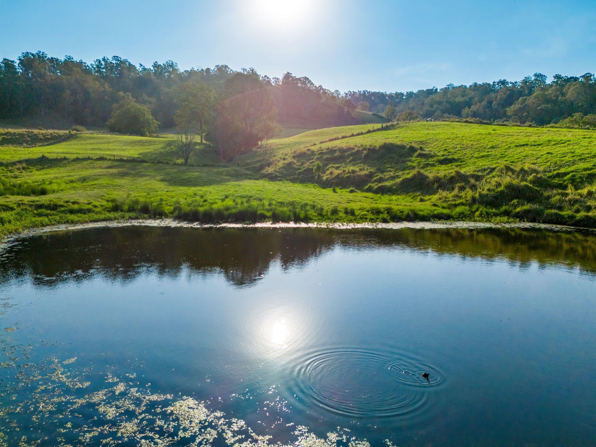 Scenic Grandeur Meets Ideal Stud Farm