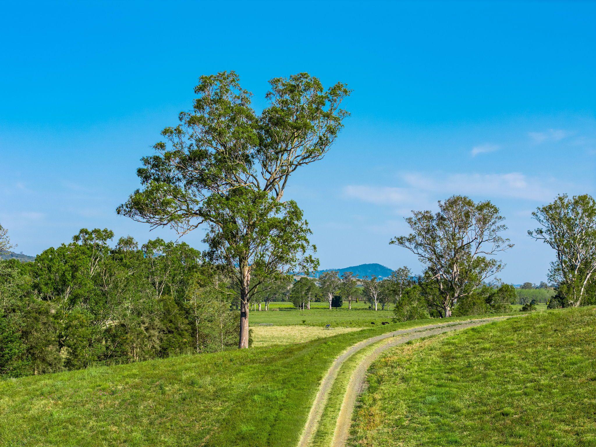 Scenic Grandeur Meets Ideal Stud Farm