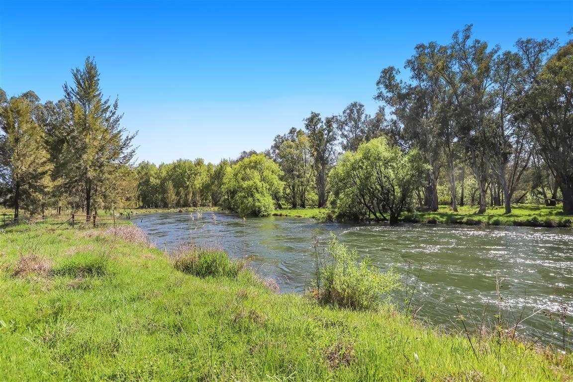 Tumut River Frontage!
