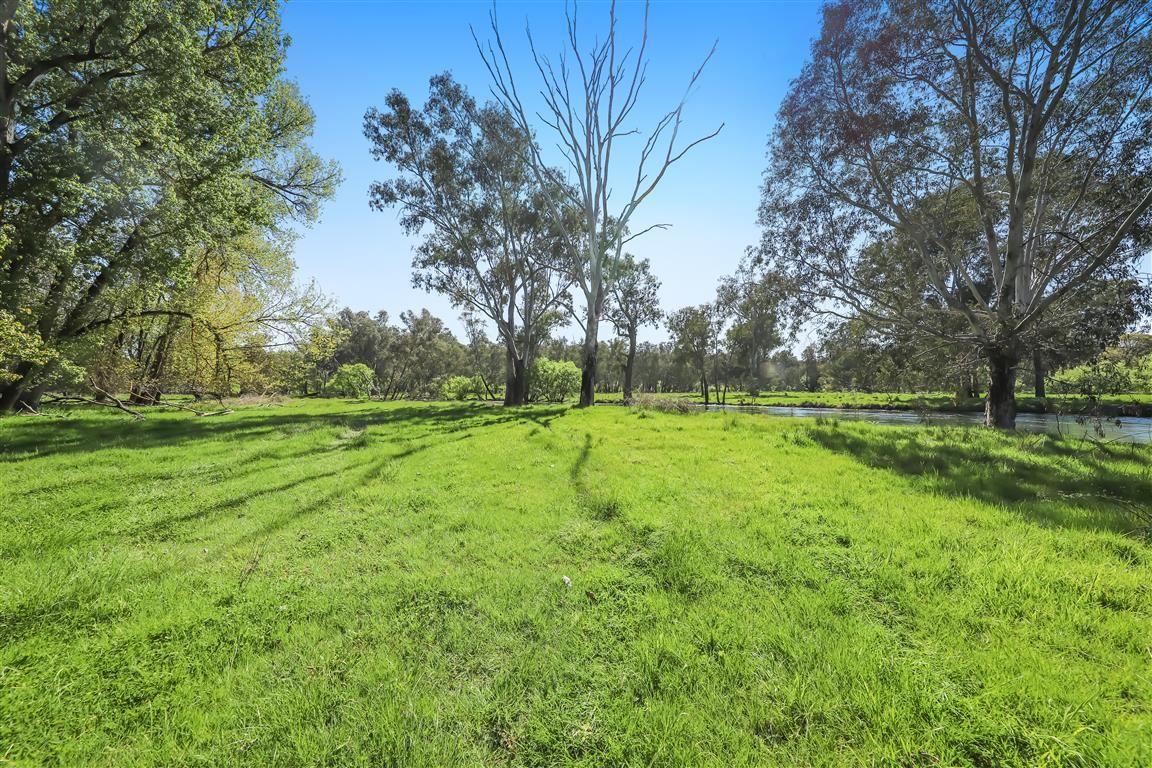 Tumut River Frontage!