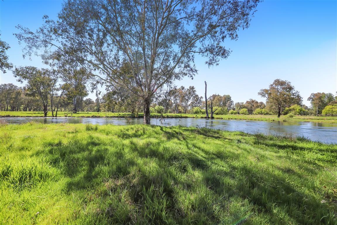Tumut River Frontage!