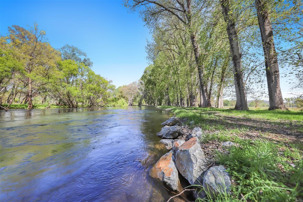 Tumut River Frontage!