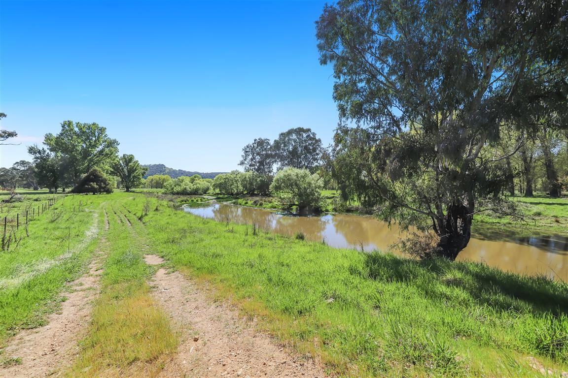 Tumut River Frontage!